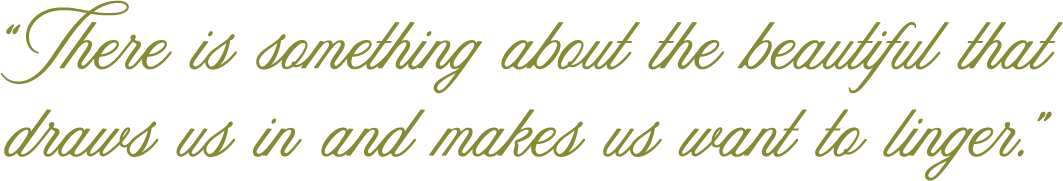 There is something about the beautiful that draws us in and makes us want to linger.