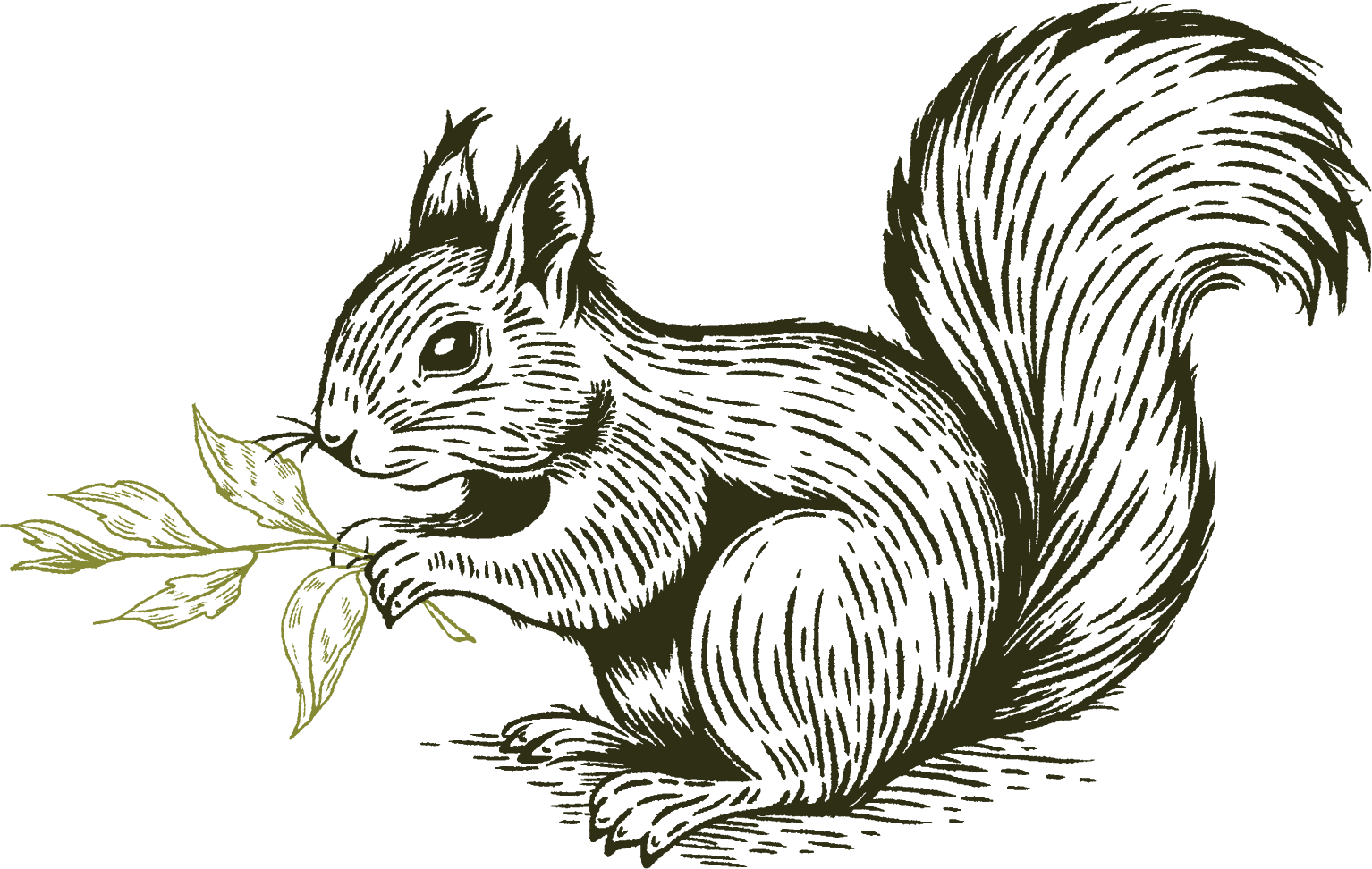 Louis the squirrel holding stem