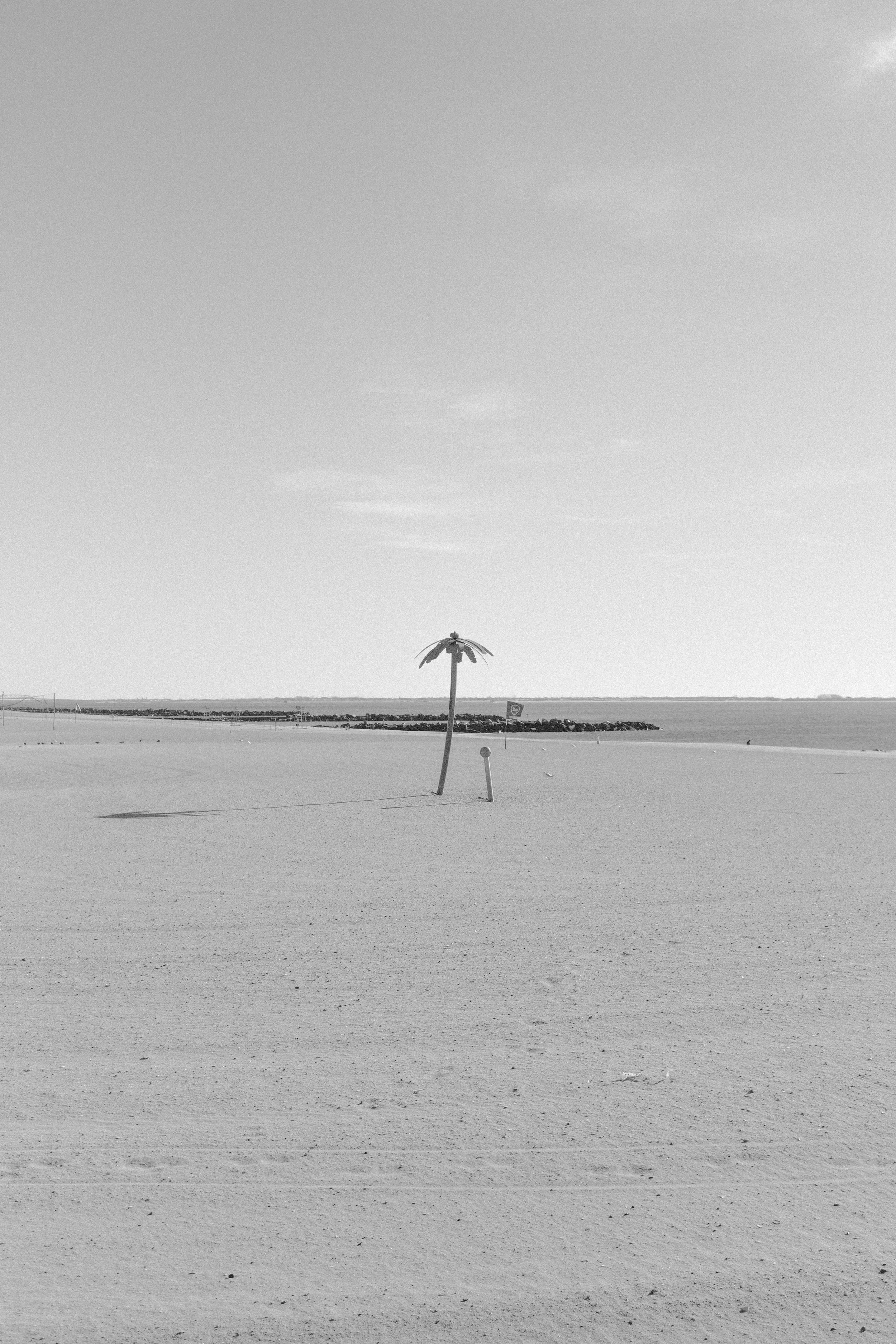 nyc jan 25 set-8.jpg