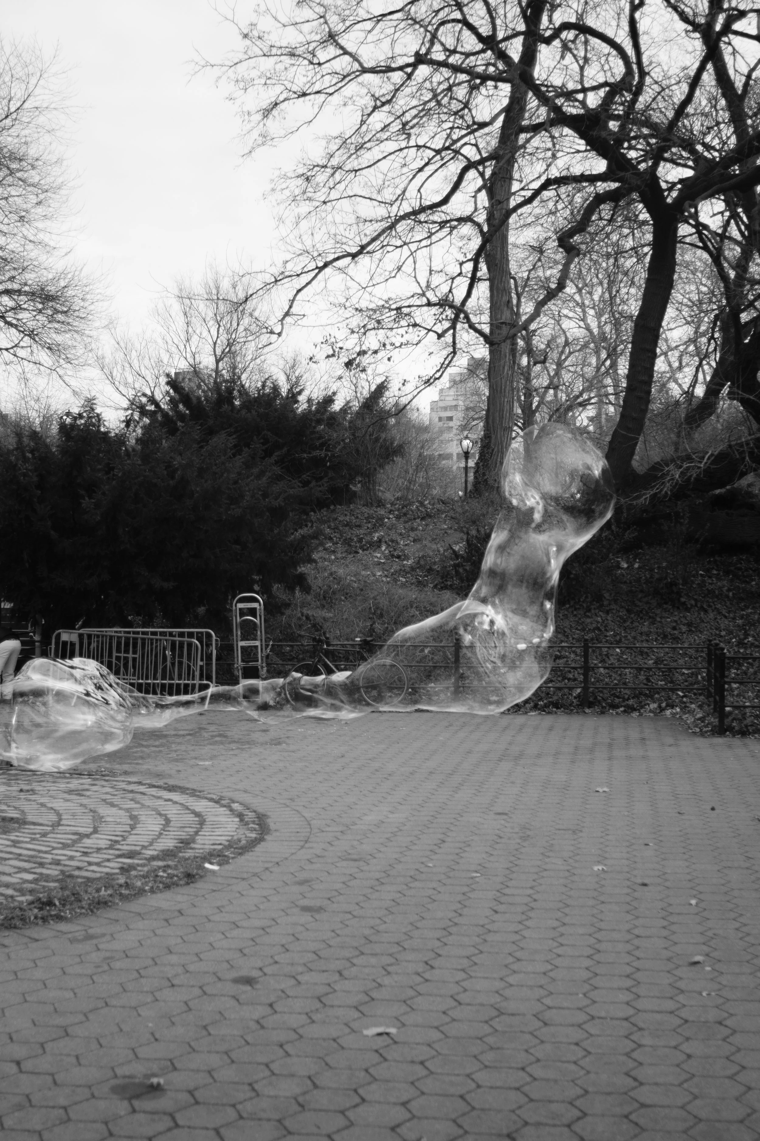 NYC dec 12 2025 BW-11.jpg