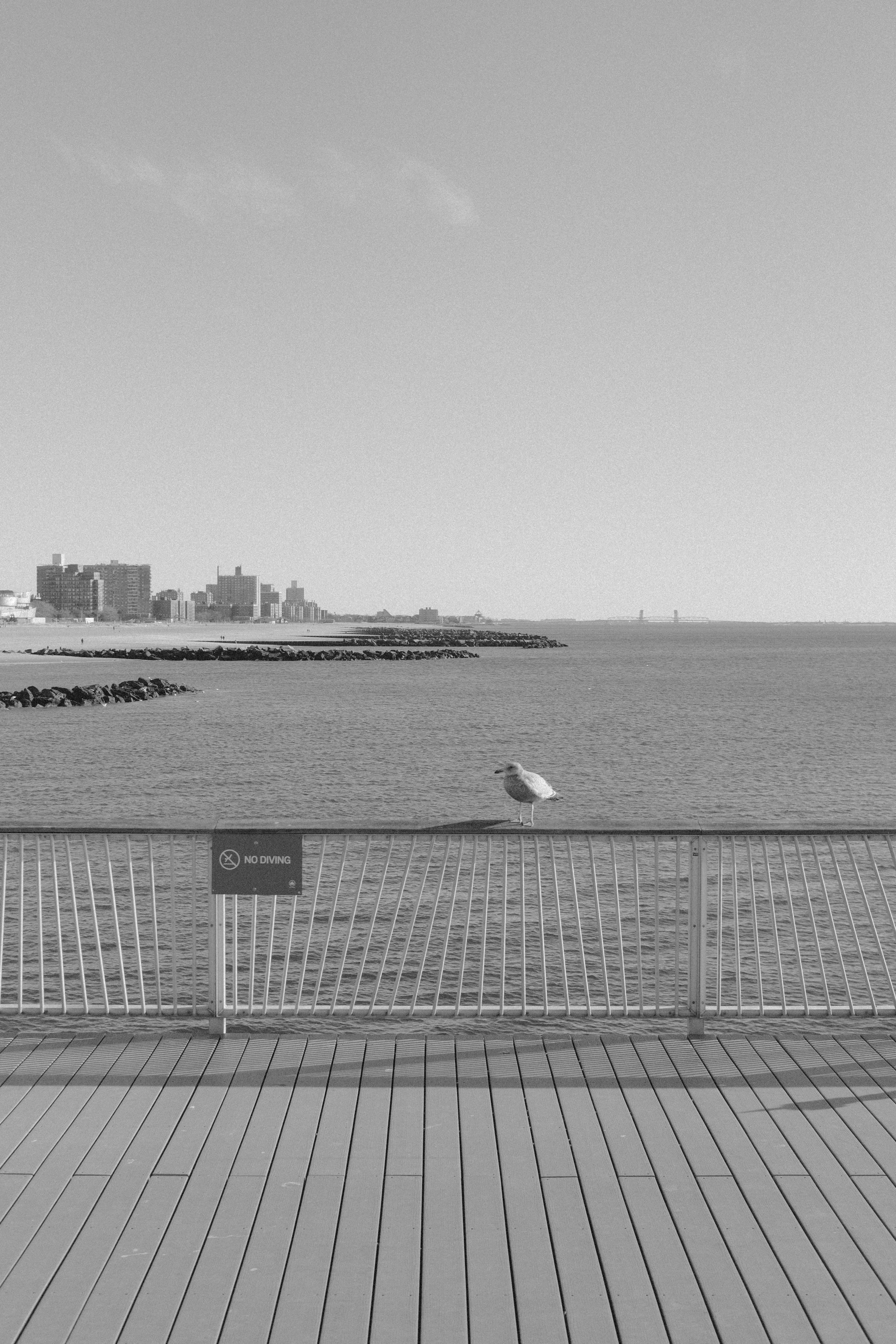 nyc jan 25 set-15.jpg