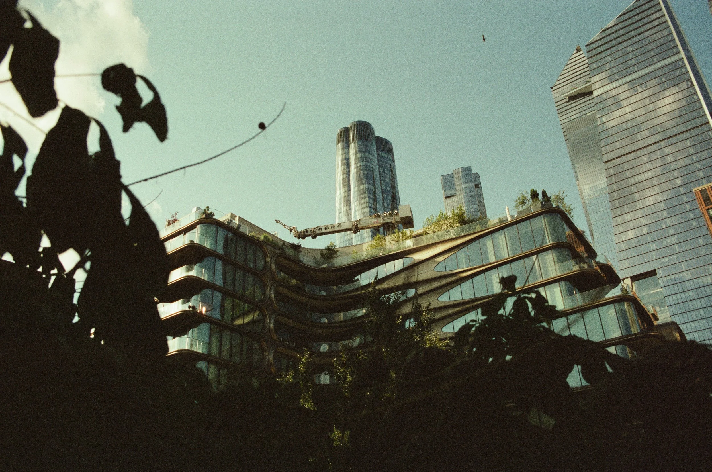 NYC film jpgs -12.jpg