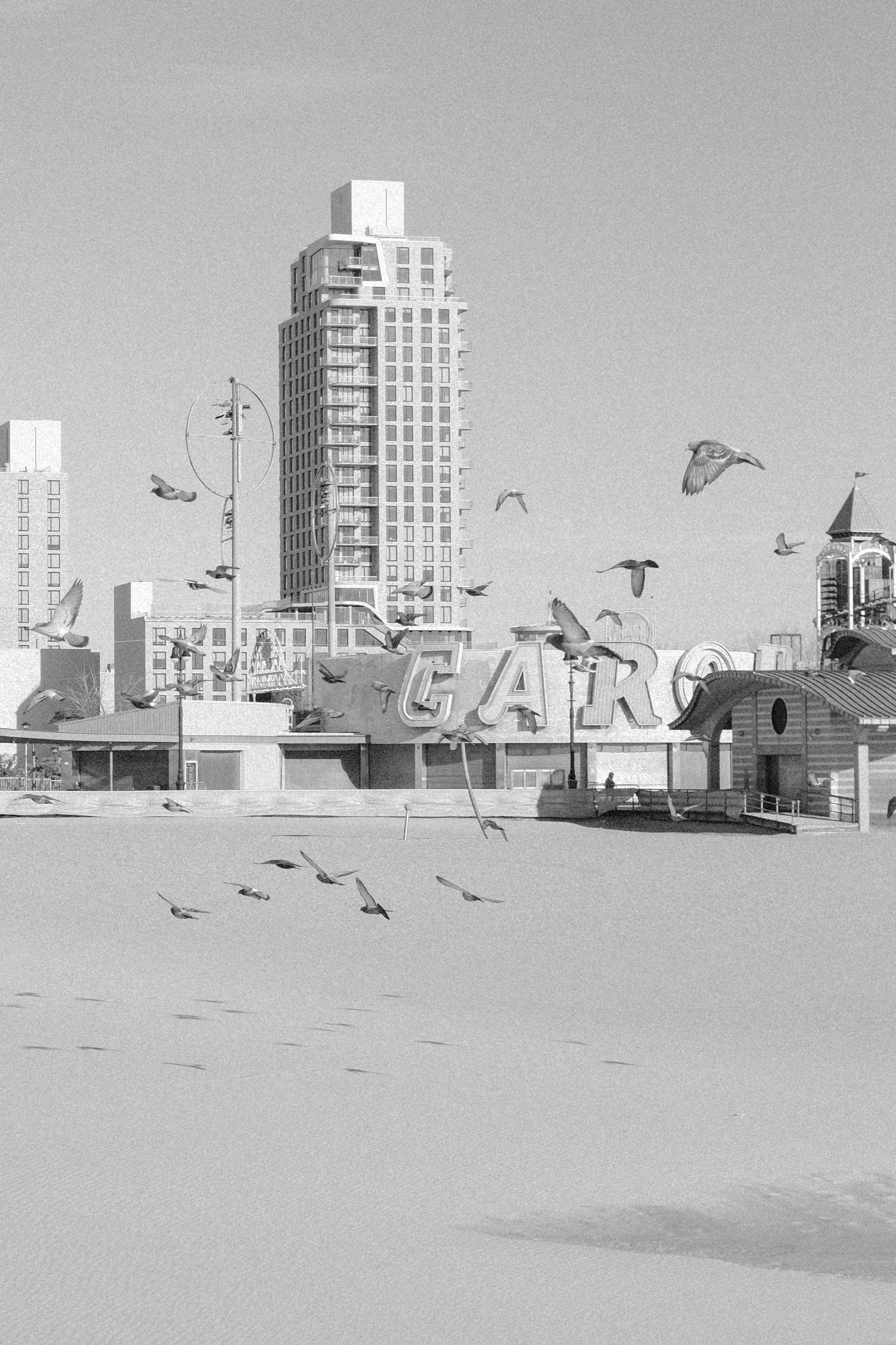 nyc jan 25 set-12.jpg