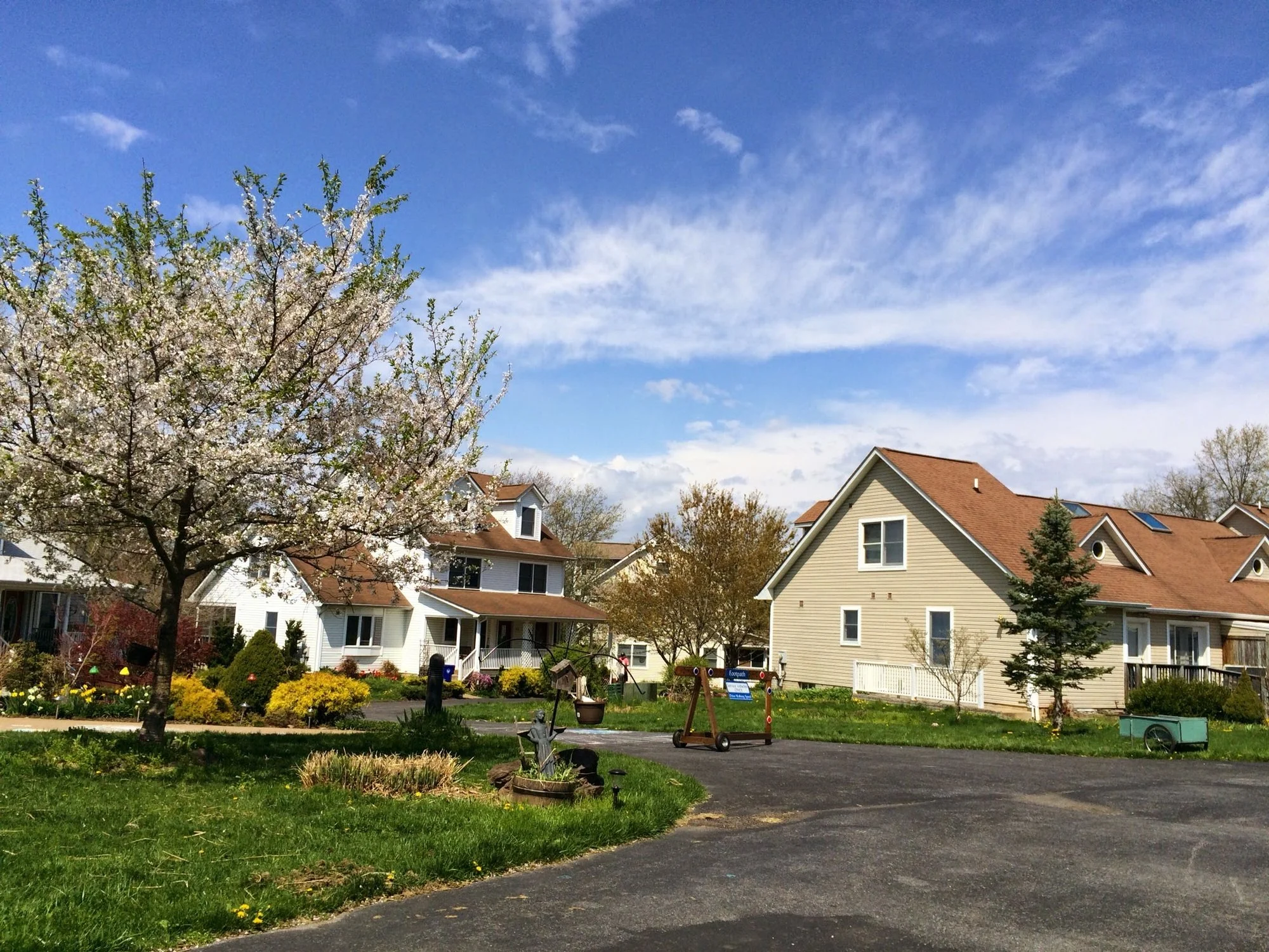 Winding path that leads to two homes in the distance. A tree with pinkish white flowers is in bloom.