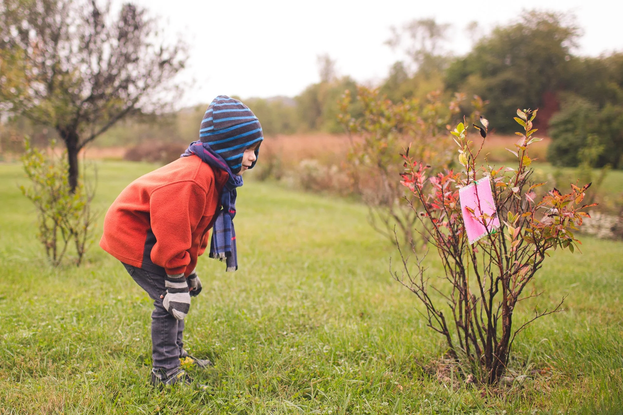 A child bundled up with their hands on their knees peering at a growing plant.