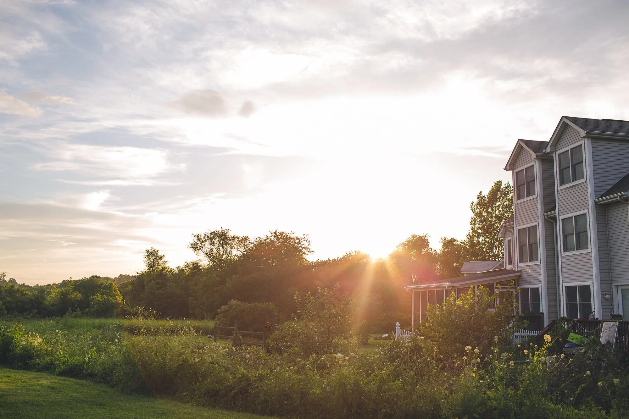 Backlit view of the homes adjacent to the garden space and greenery.