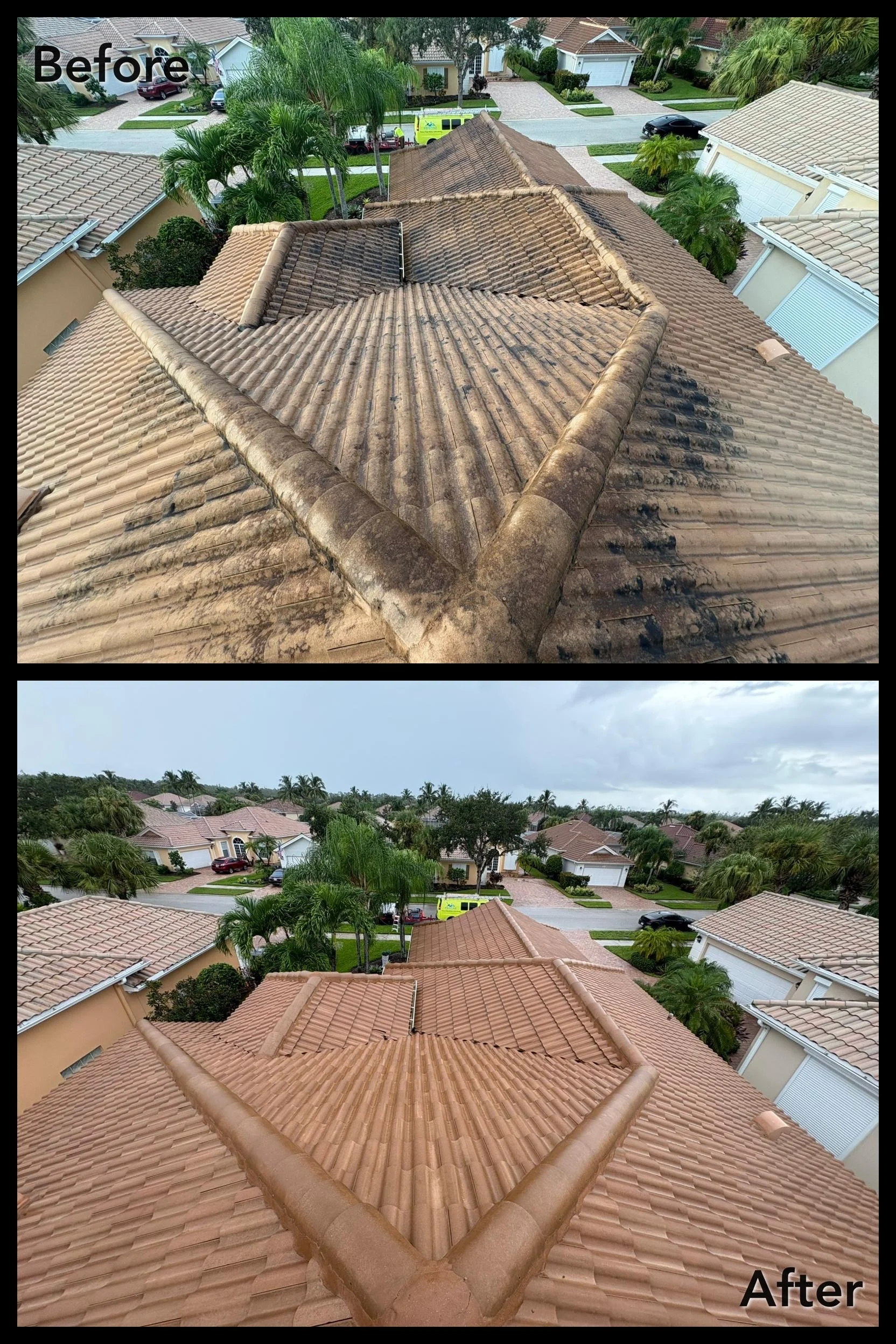 Roof Cleaning/ Soft Wash