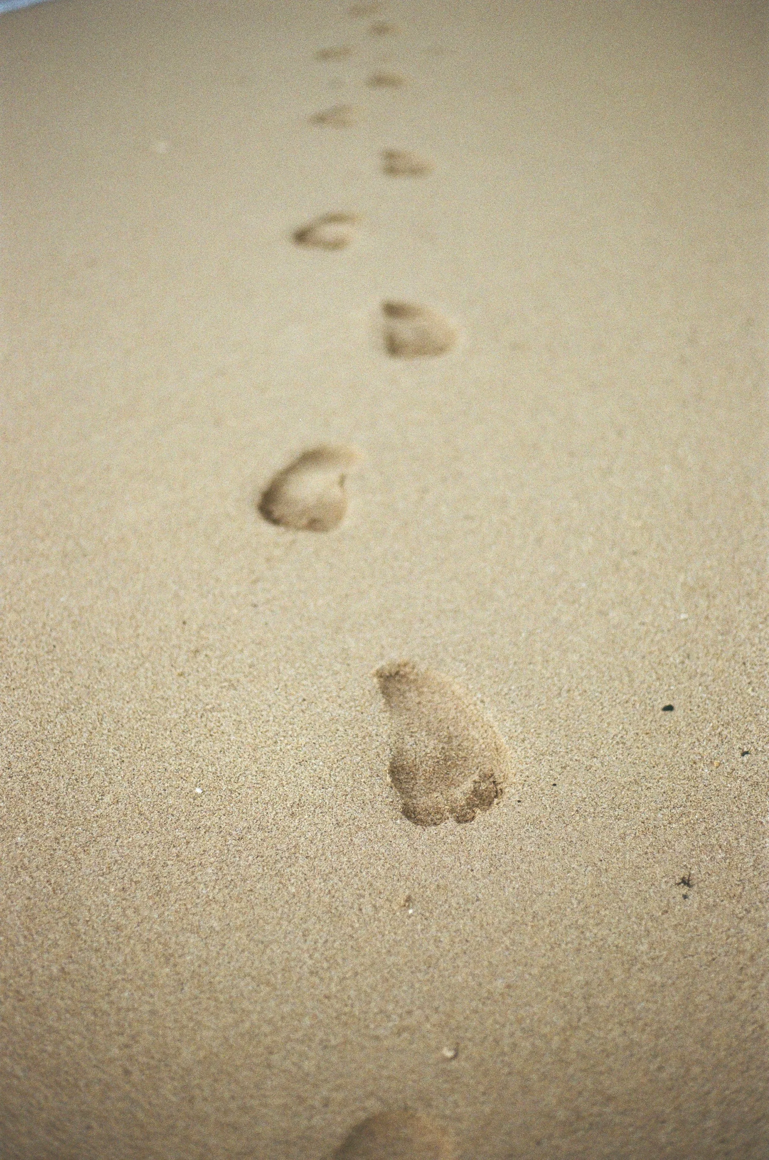 A trail of footprints in the sand leading towards the horizon on a beach.