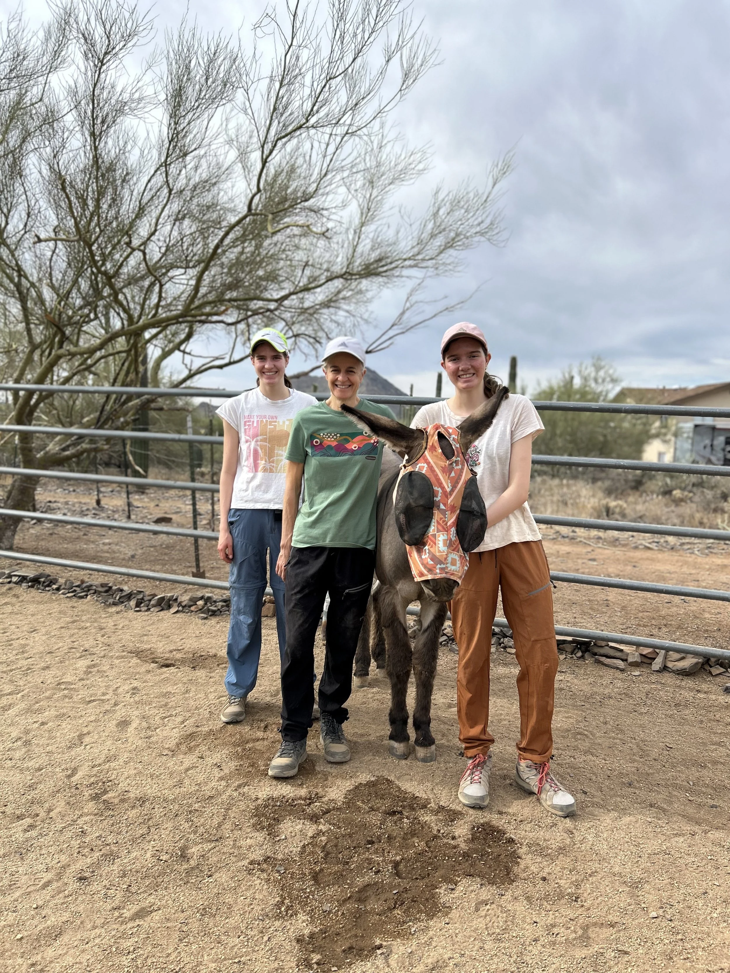 A group of three young volunteers working with a donkey in the arena, stopping for a smiling photo together