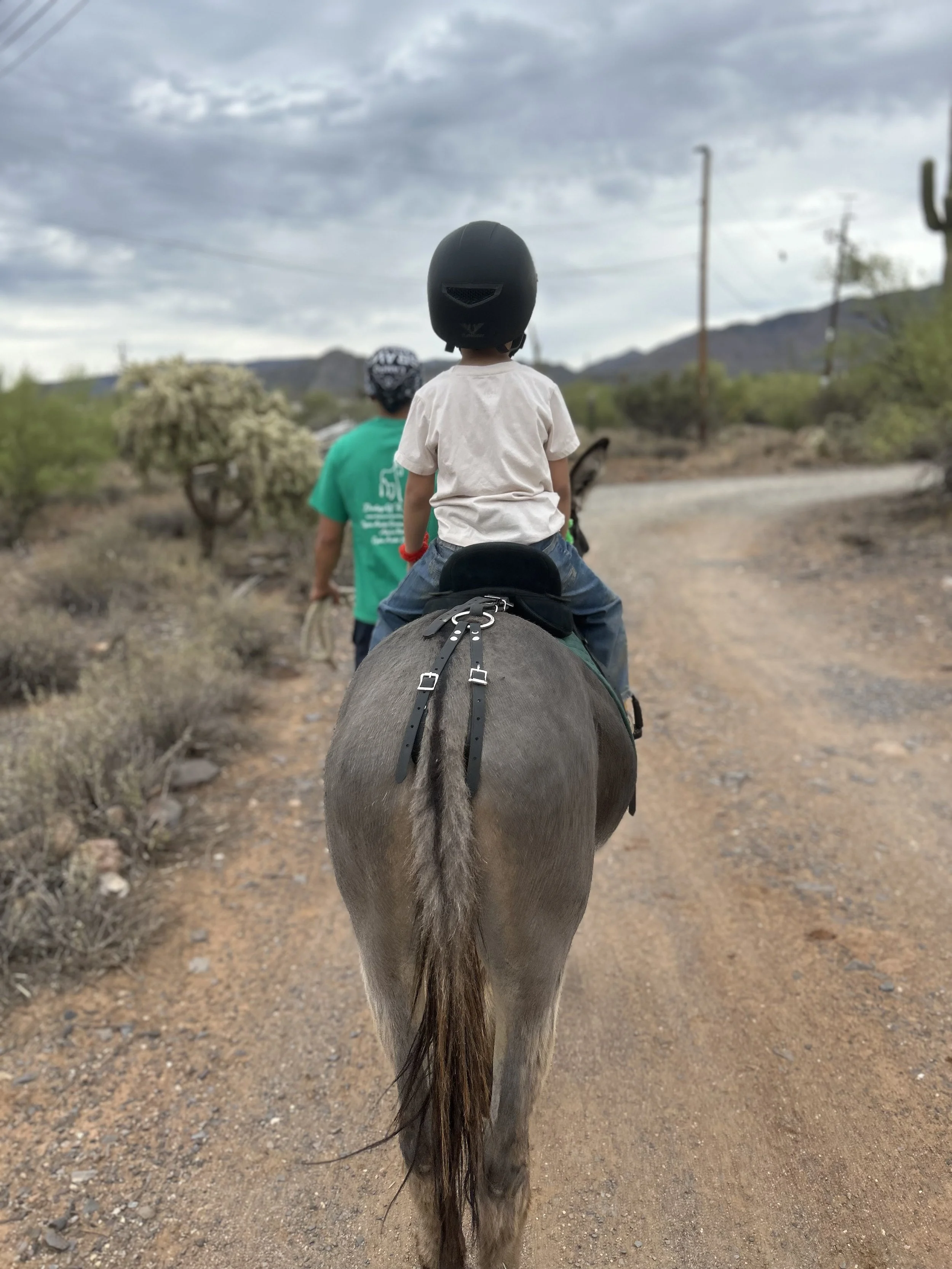 A calm student riding a calm donkey along a trail, viewed from behind, as part of a therapeutic riding lesson