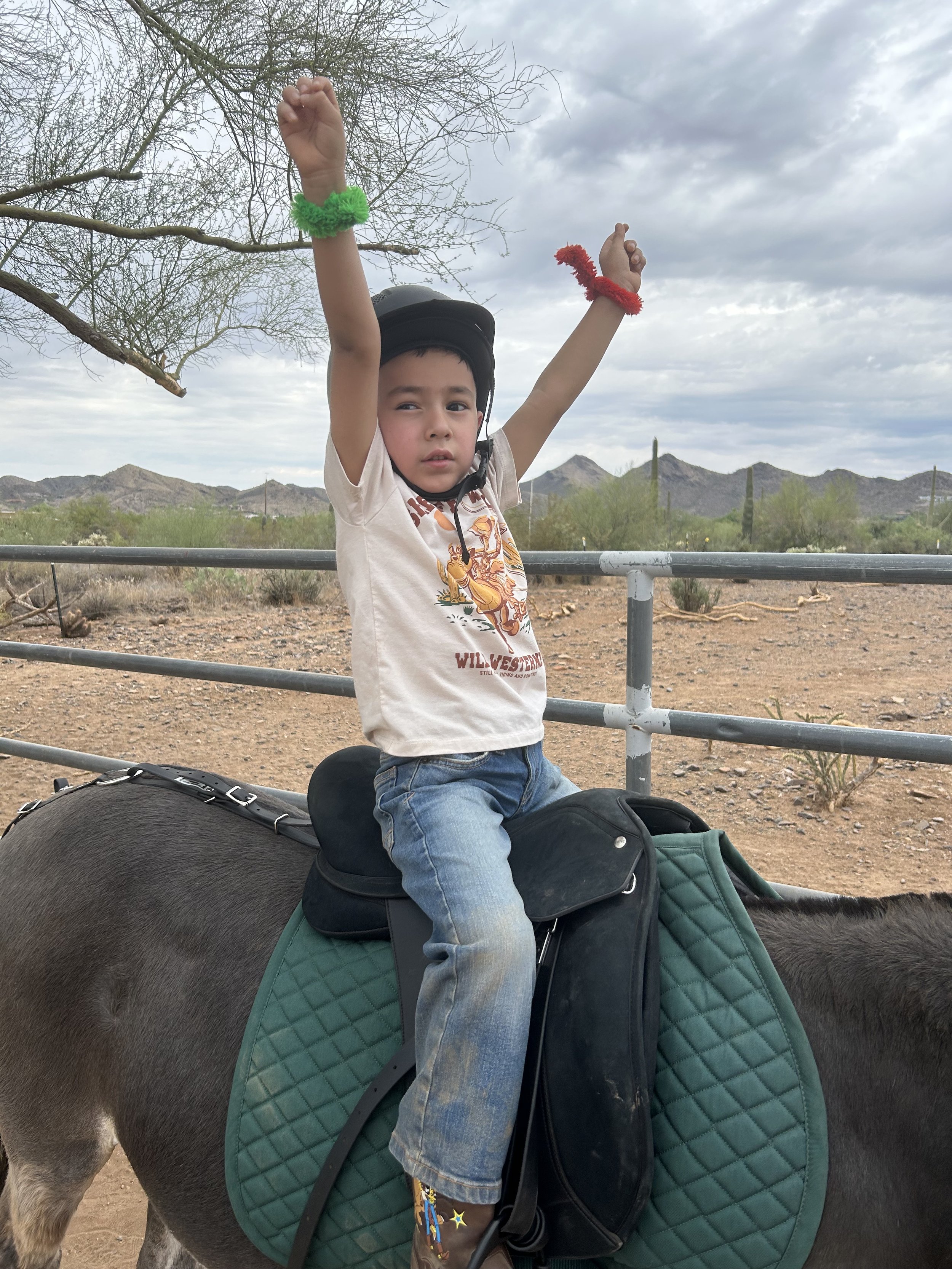 Boy seated in the saddle with his hands raised in celebration, wearing colored wrist straps that help him learn left from right during his adaptive riding lesson