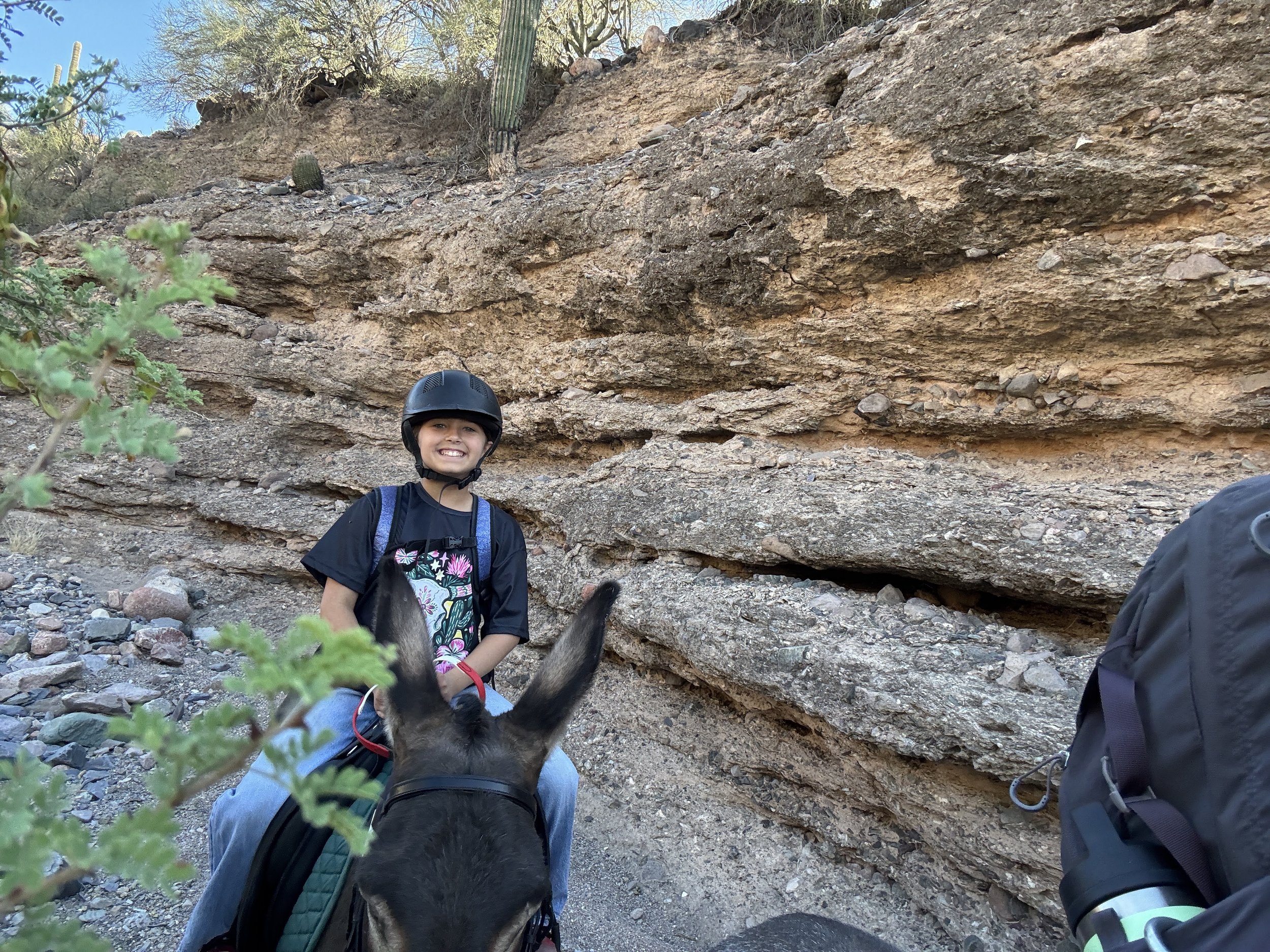 Rider smiling while mounted on a donkey during a therapeutic riding lesson
