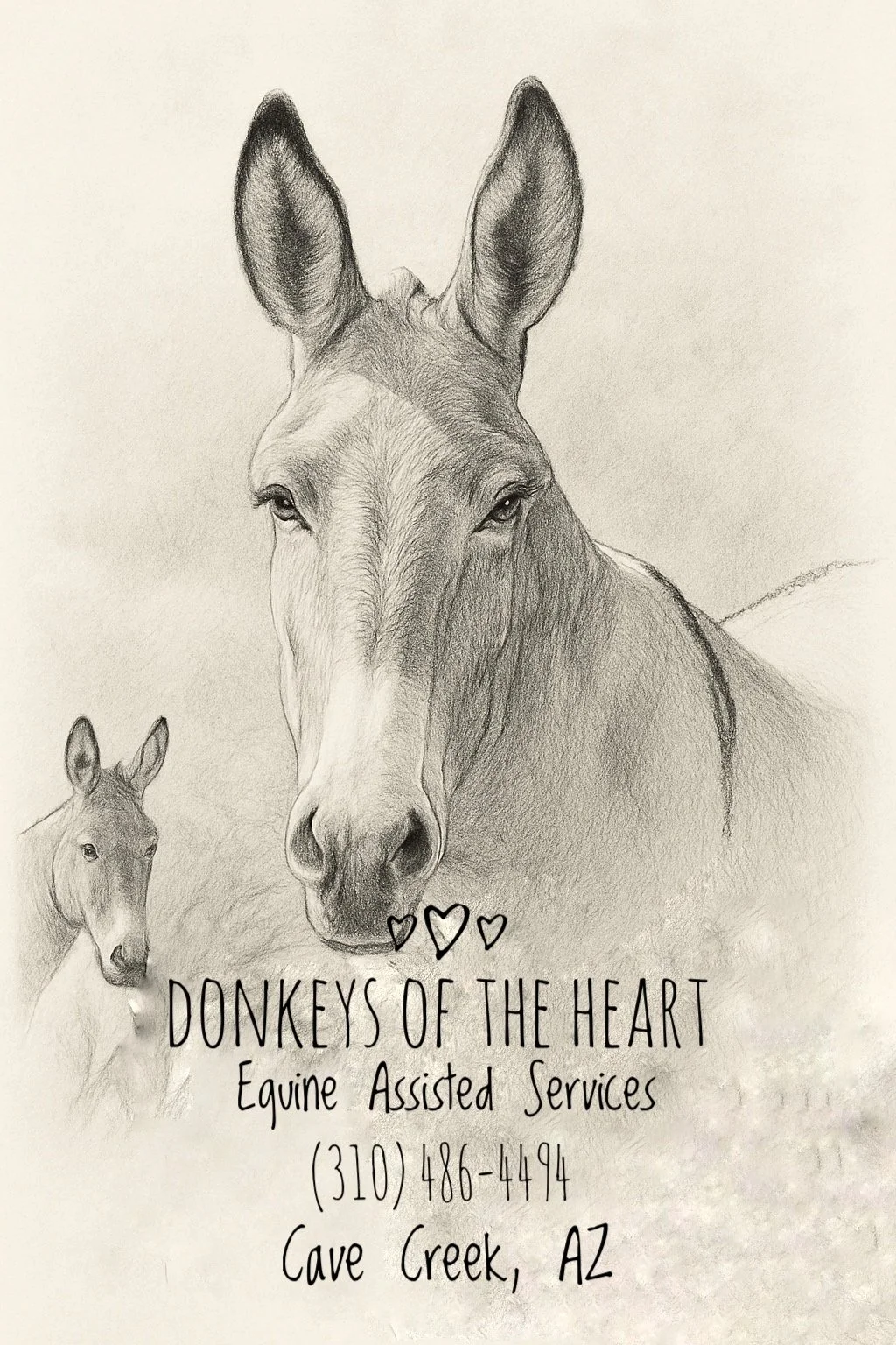 Pencil drawing of two donkeys, with text reading: Donkeys of the Heart, Equine Assisted Services, 310-486-4494