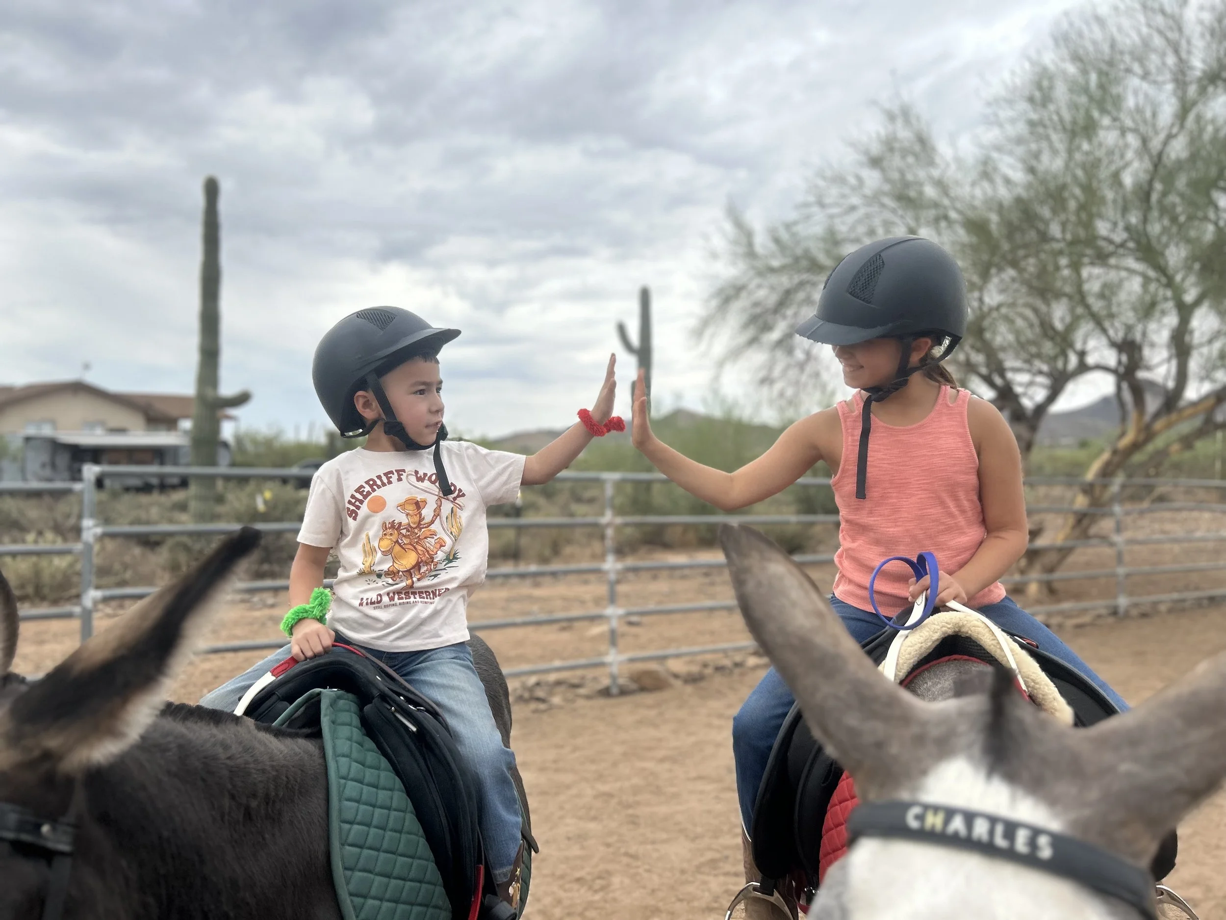 Two children riding donkeys side by side during a therapeutic riding lesson, high-fiving and smiling.