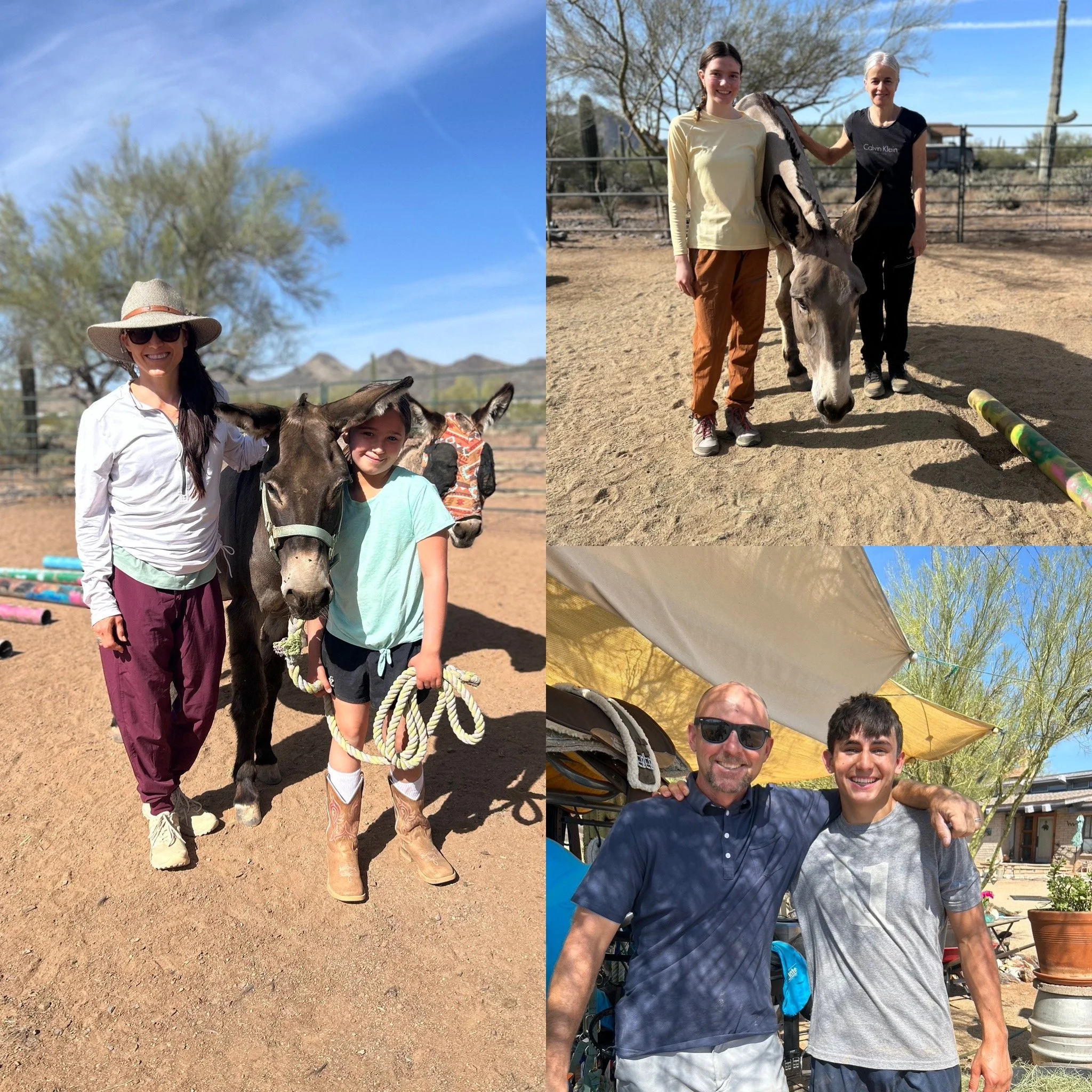 volunteering fun rewarding