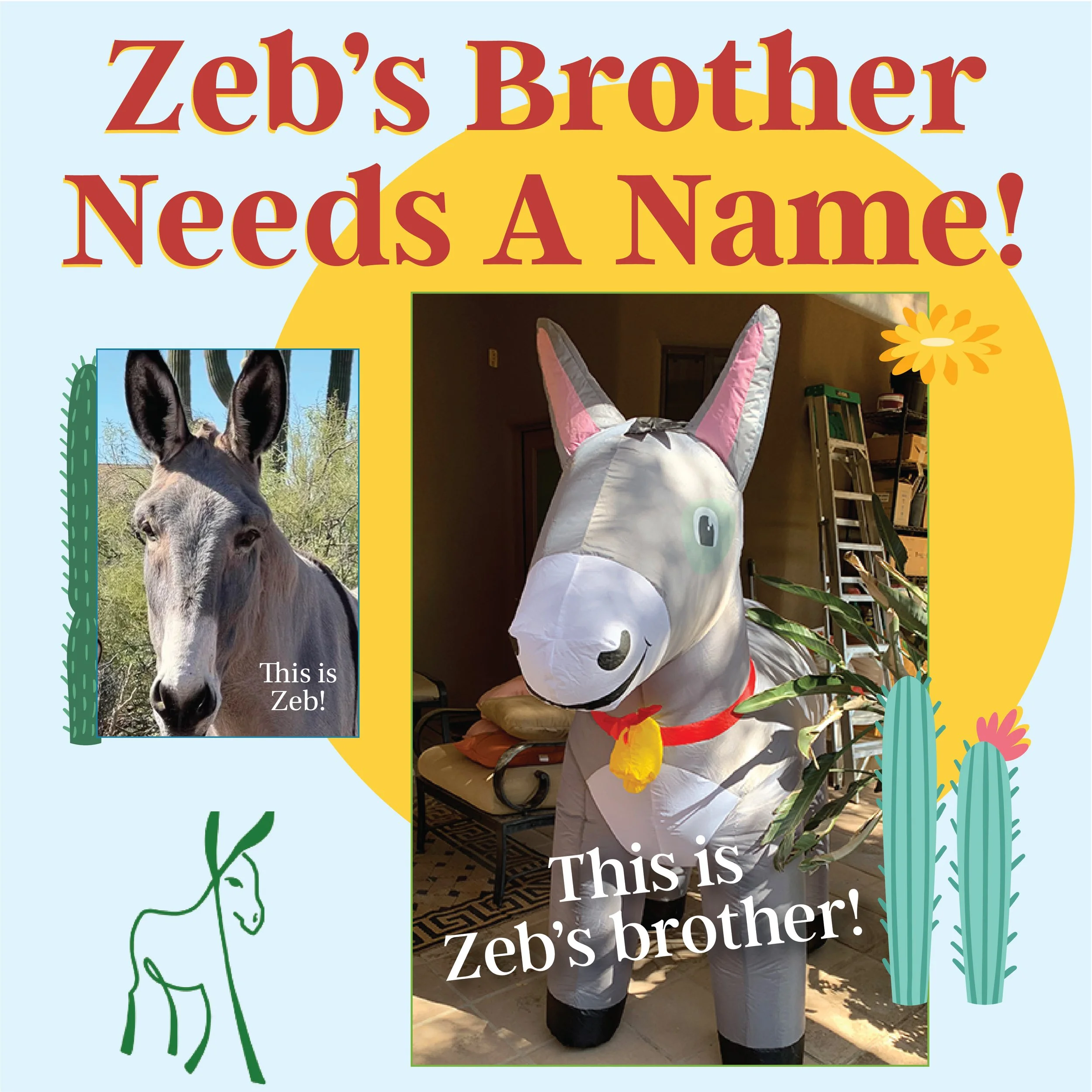 zebs brother 1080 x 1080 2.jpeg