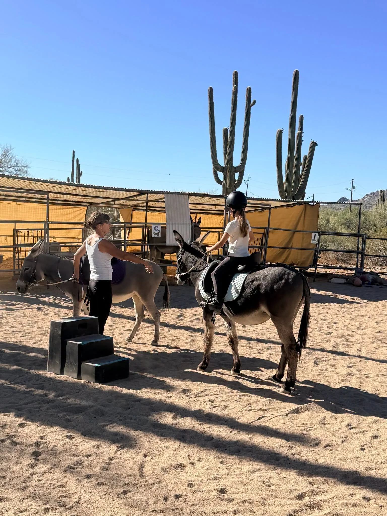 Founder Sophie holding a donkey by a lead line while teaching a young girl how to use the reins as part of the recreational riding program