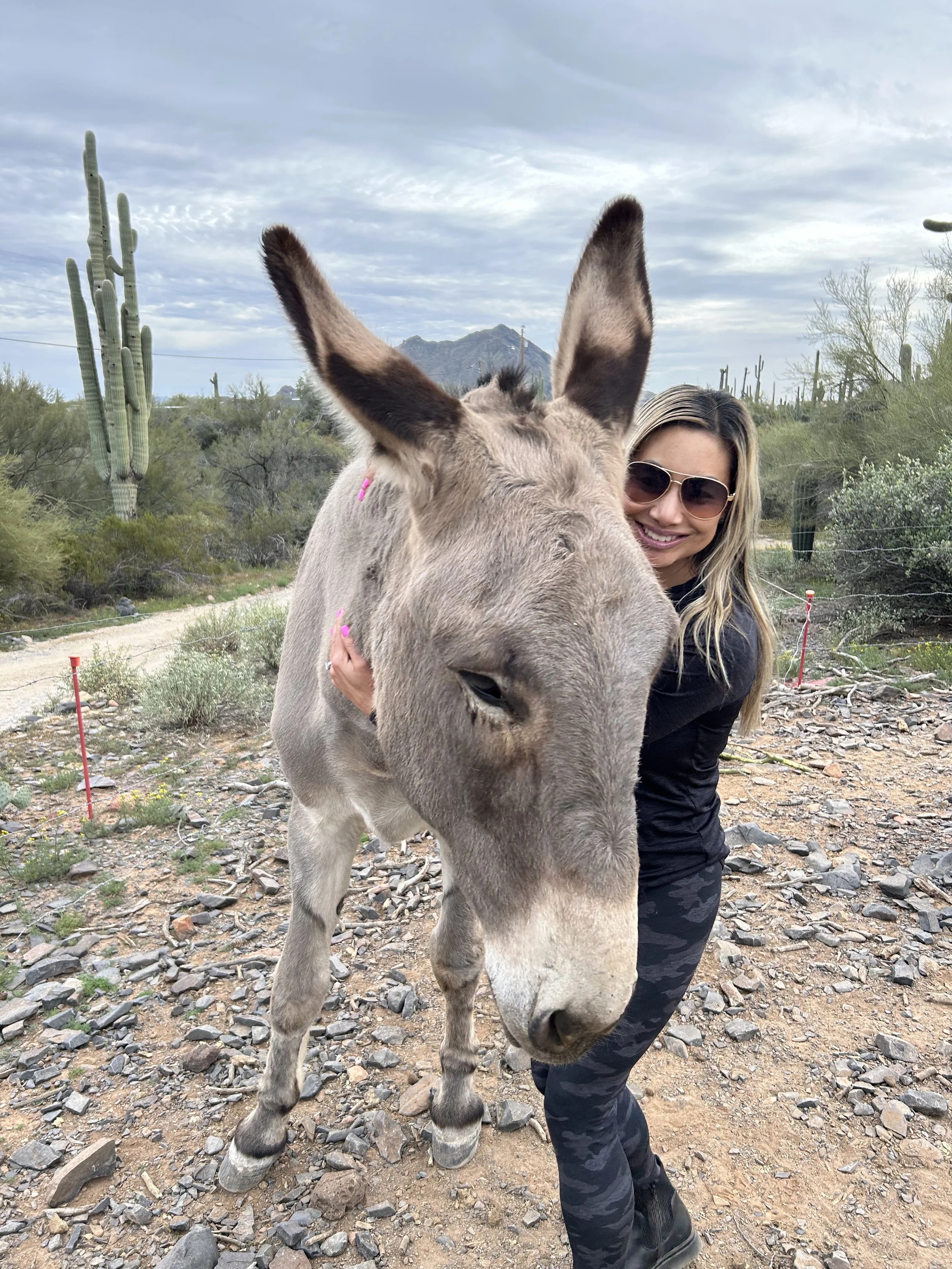 A new volunteer meeting Zeb the donkey, hugging him around the neck in the pasture