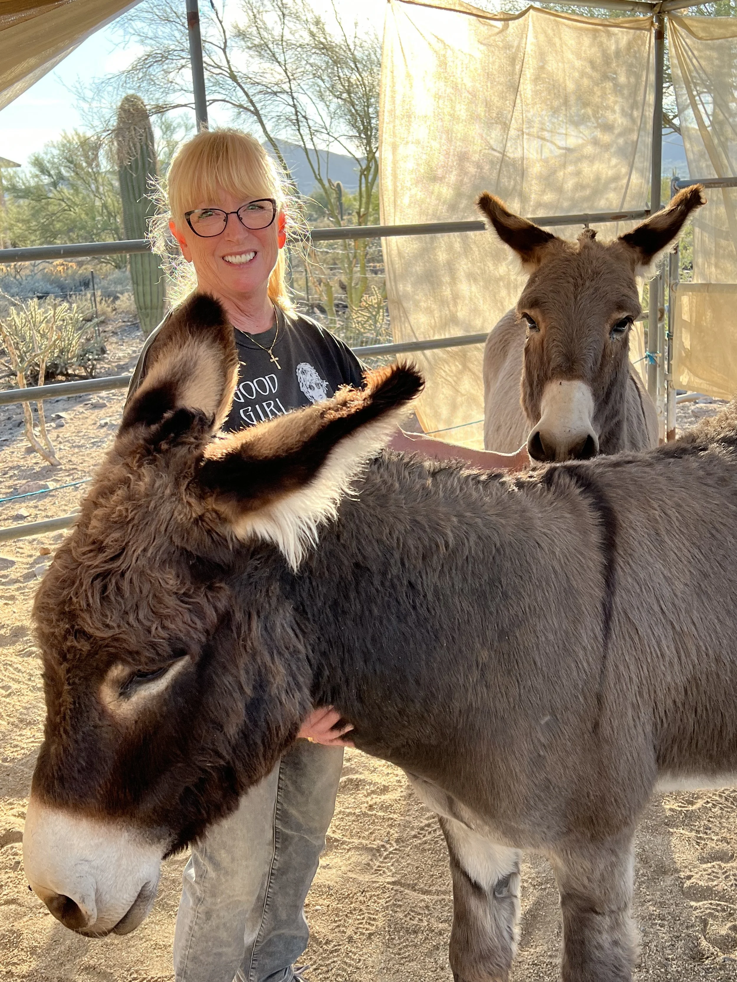 A volunteer standing between two donkeys, petting the one in front of her