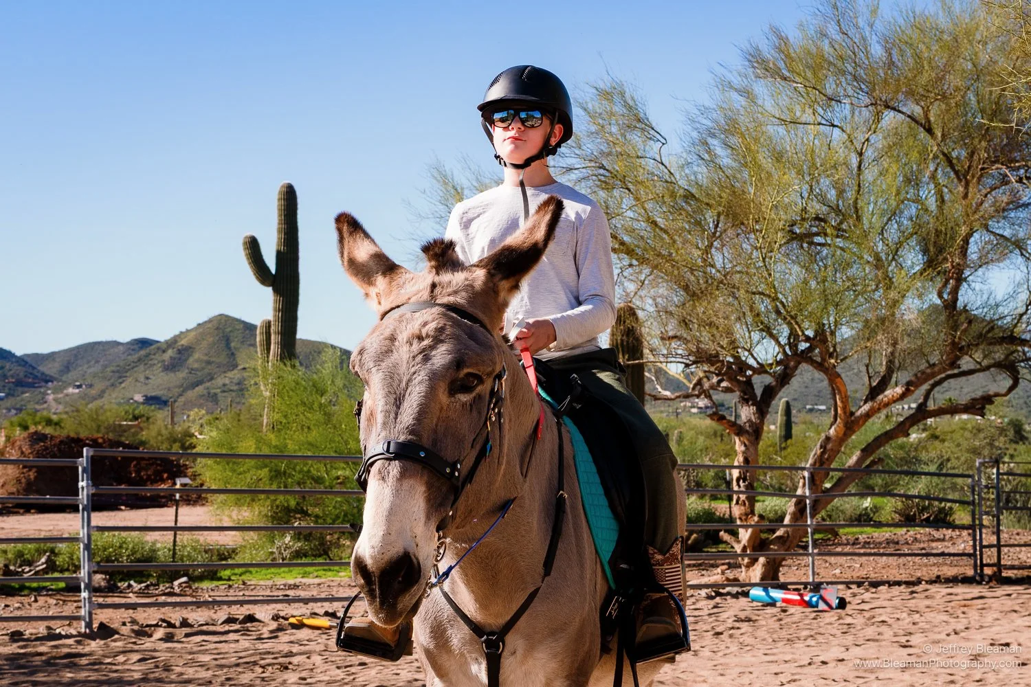 children riding a donkey
