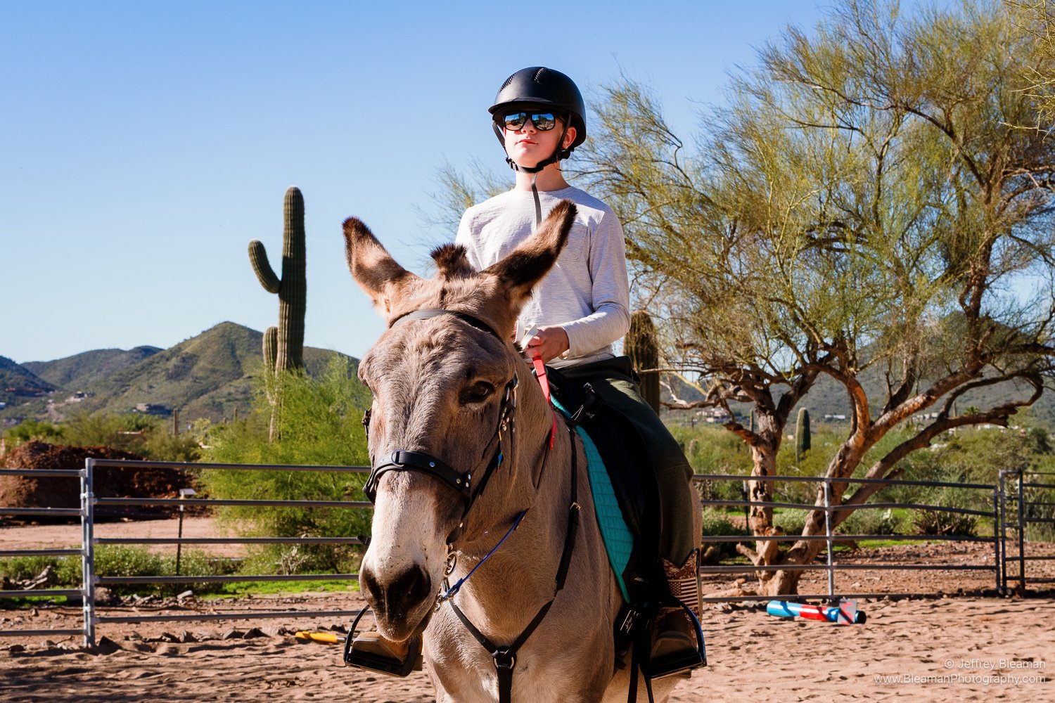 child riding a donkey in an equine assisted learning lesson