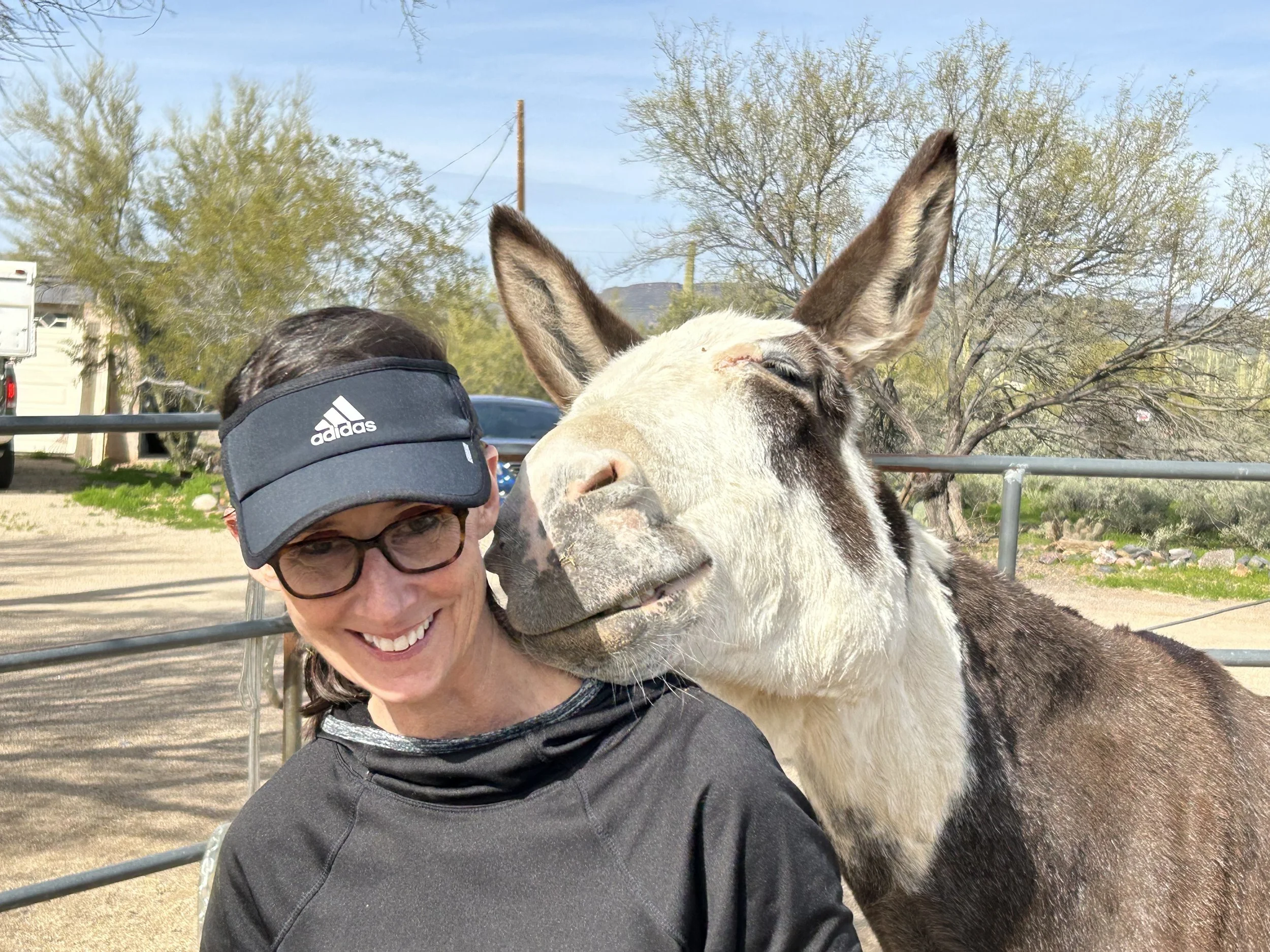 A female volunteer smiling and leaning into some affectionate nudges from Charlie the donkey