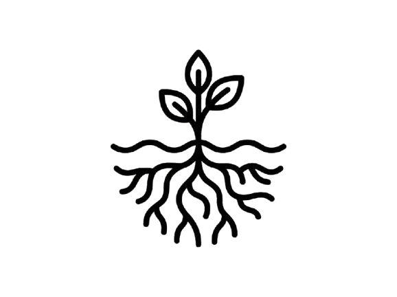 Illustration of a plant with roots and leaves