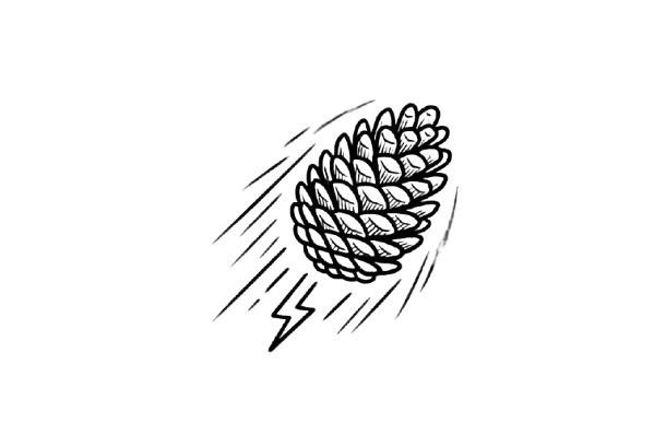 Illustration of a pine cone with motion lines, suggesting speed or movement.