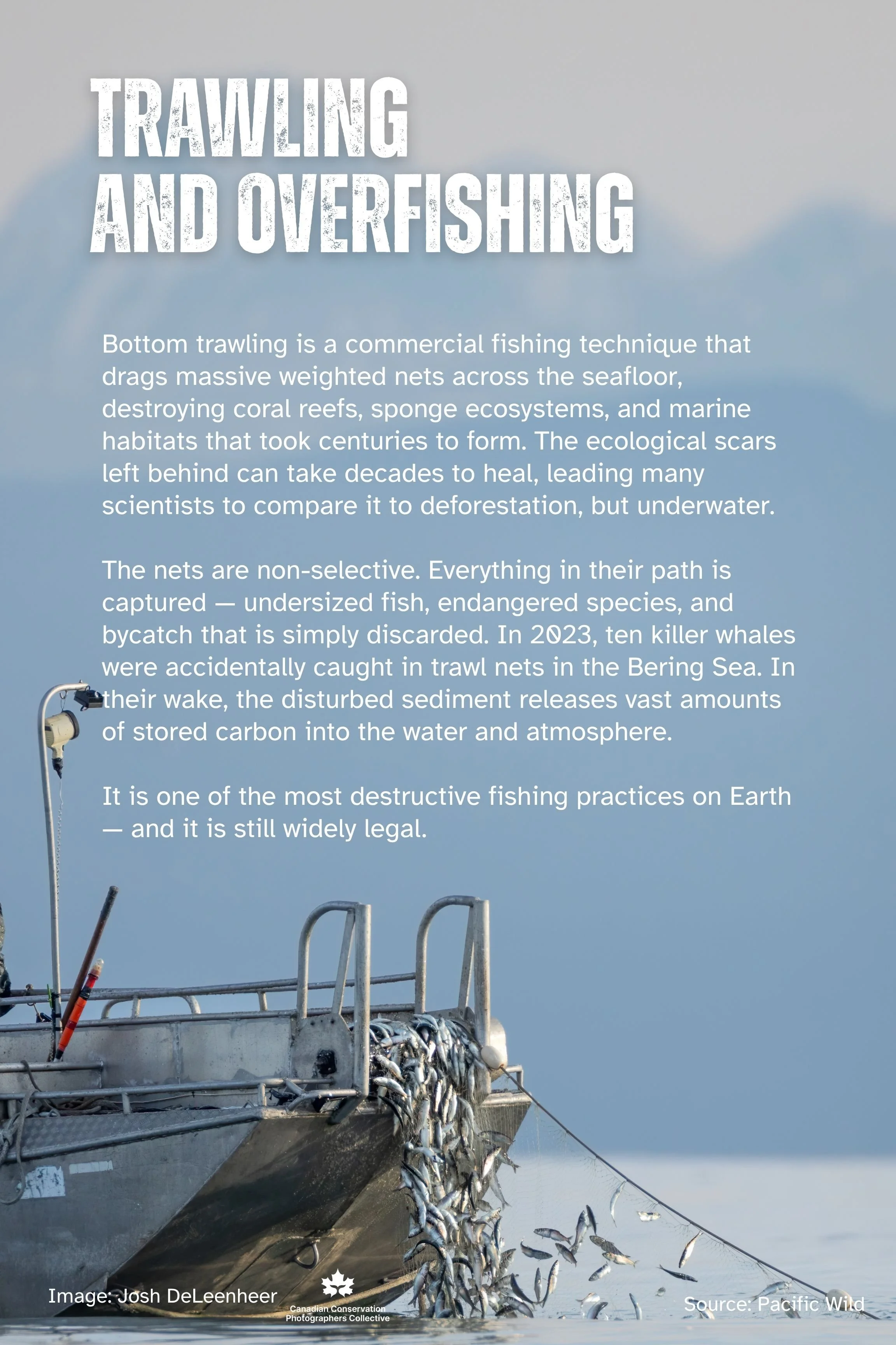Poster with a fishing boat at sea with many fish on the deck and some hanging over the side, with a cloudy sky background, titled 'Trawling and Overfishing'.