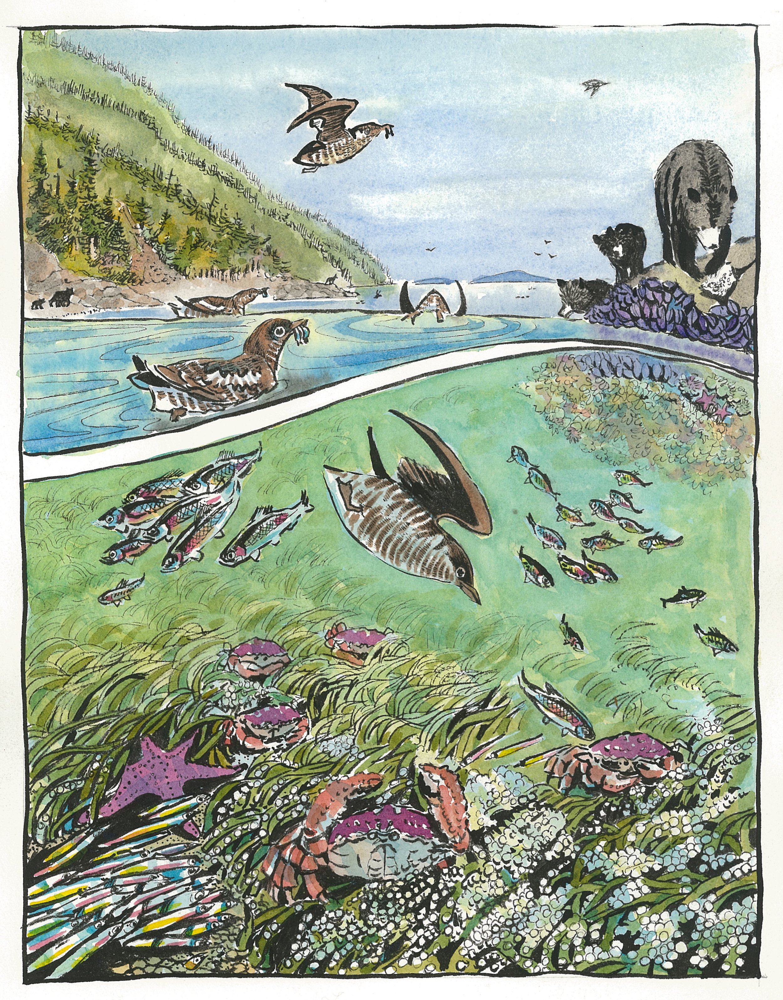 Colorful watercolor illustration of a healthy coastal scene with mountains, birds flying, and various fish and crabs in the water and seabed.