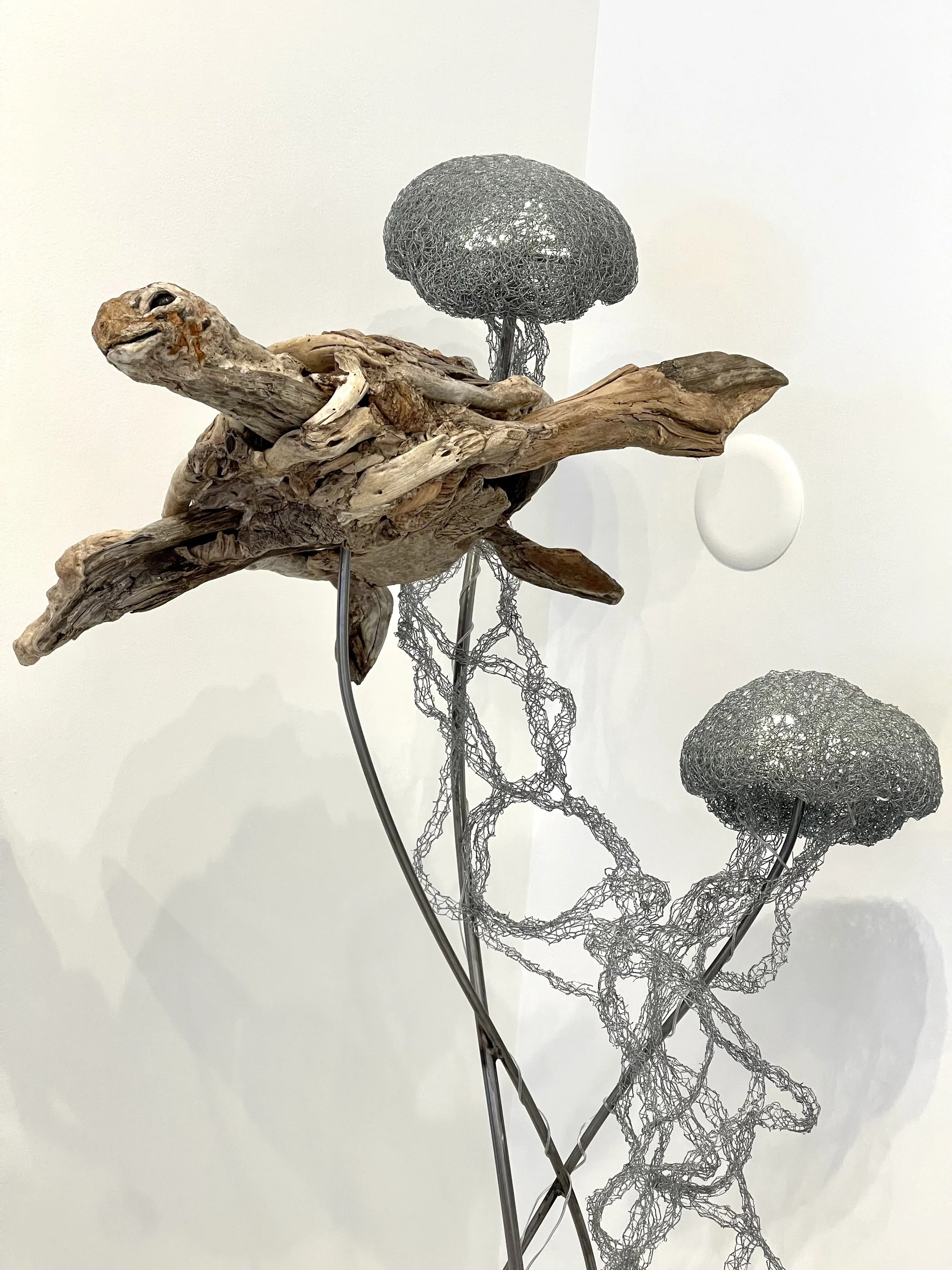 Sculpture of turtle made out of driftwood, and jellyfish made out of metal wire structures on a stand.