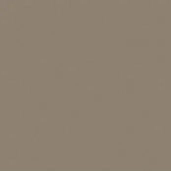 A plain, solid beige background with no distinct objects or features.