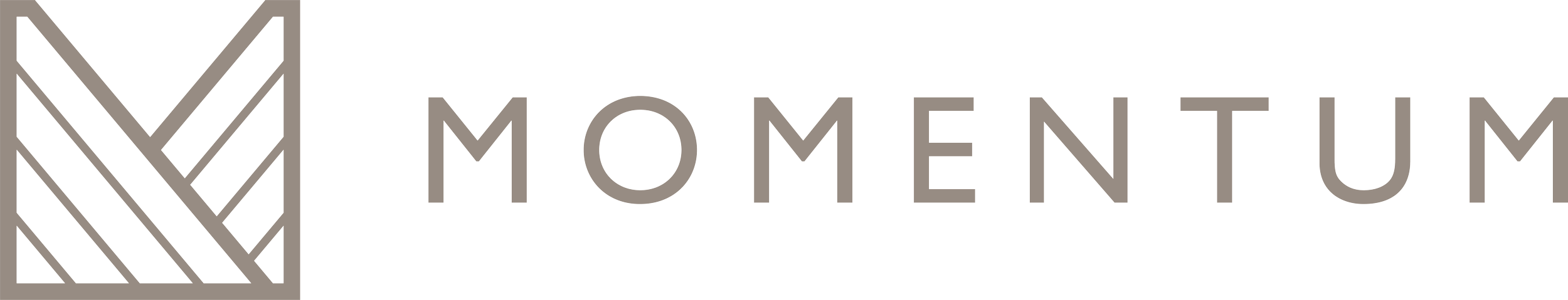 Momentum logo with geometric symbol and text