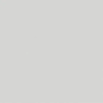 A blank gray background with no distinguishable objects or details.