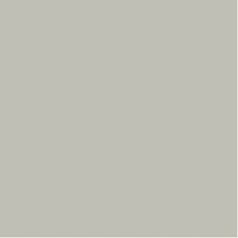 Plain gray background with no distinguishable objects.