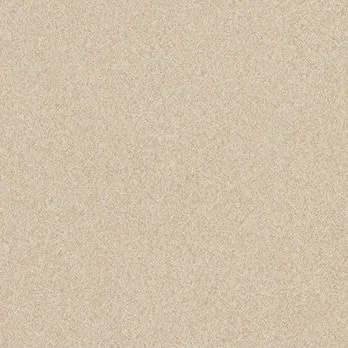 Close-up of a sandy beach or desert surface with fine, light-colored sand.
