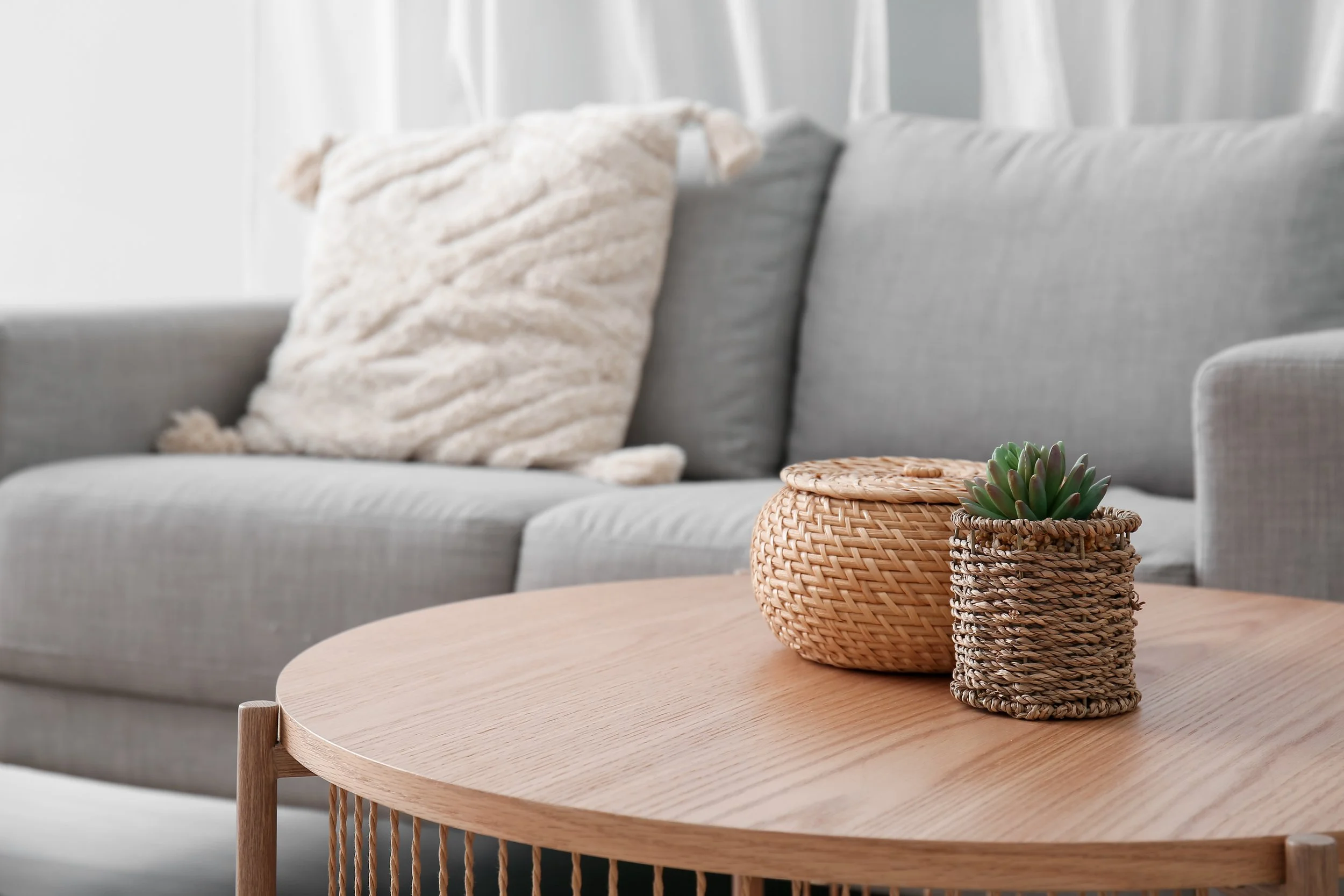 A living room with a gray sofa, a fluffy cream-colored pillow, a round wicker basket with a lid, and a small potted succulent plant on a light wooden coffee table.