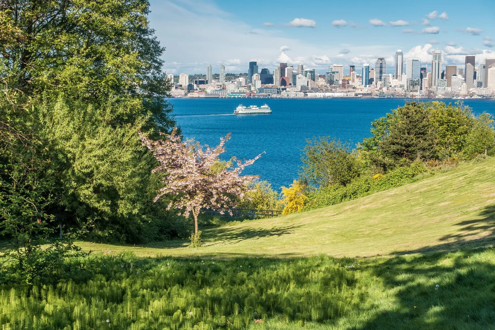 Green park with trees and grass overlooking a large body of water with a city skyline in the background, and a ferryboat on the water.