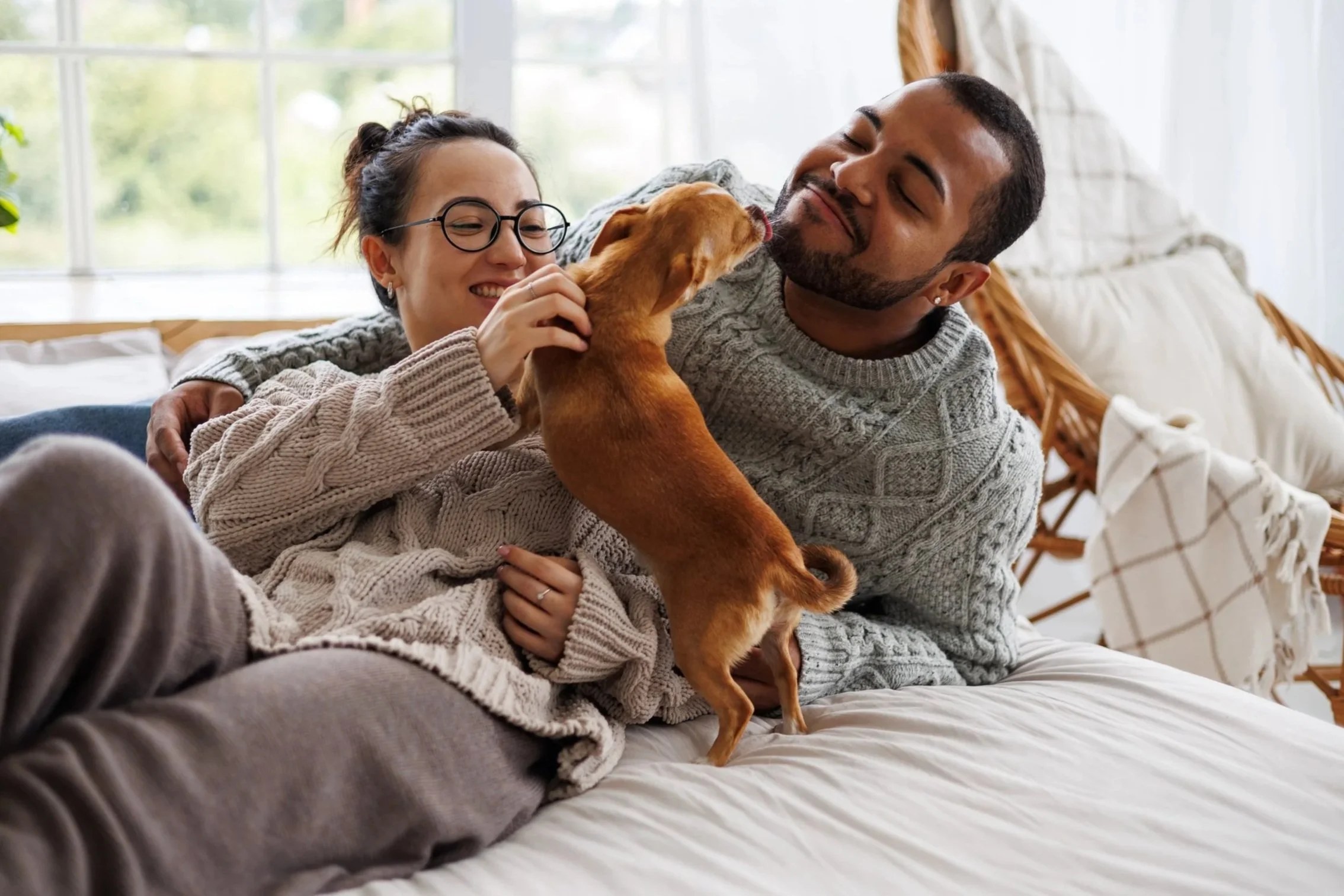A couple lying on a bed, playing with a small brown dog. The woman is smiling and wearing glasses, while the man is smiling with eyes closed. The dog is standing on its hind legs and licking the man's face.