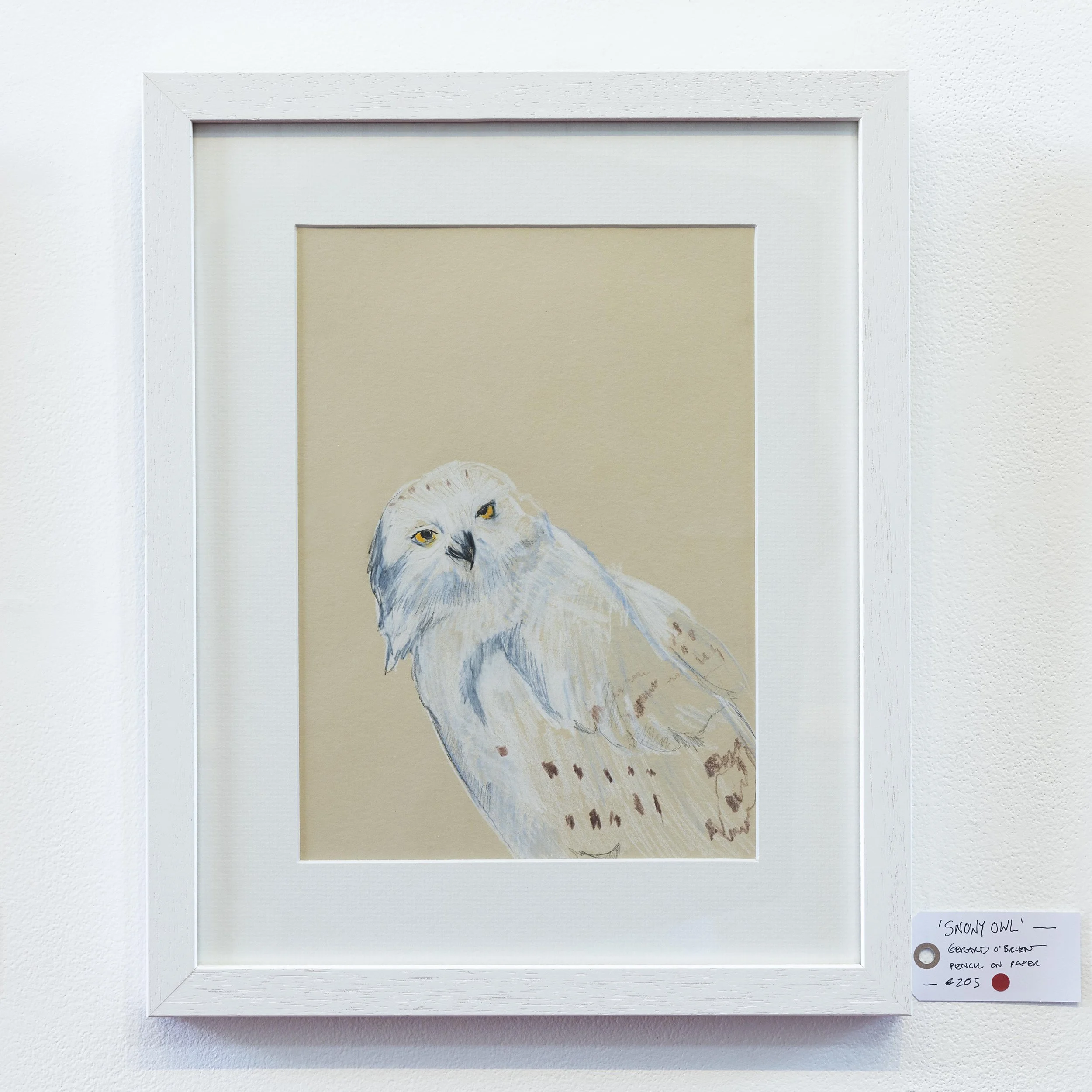 Snowy Owl drawing