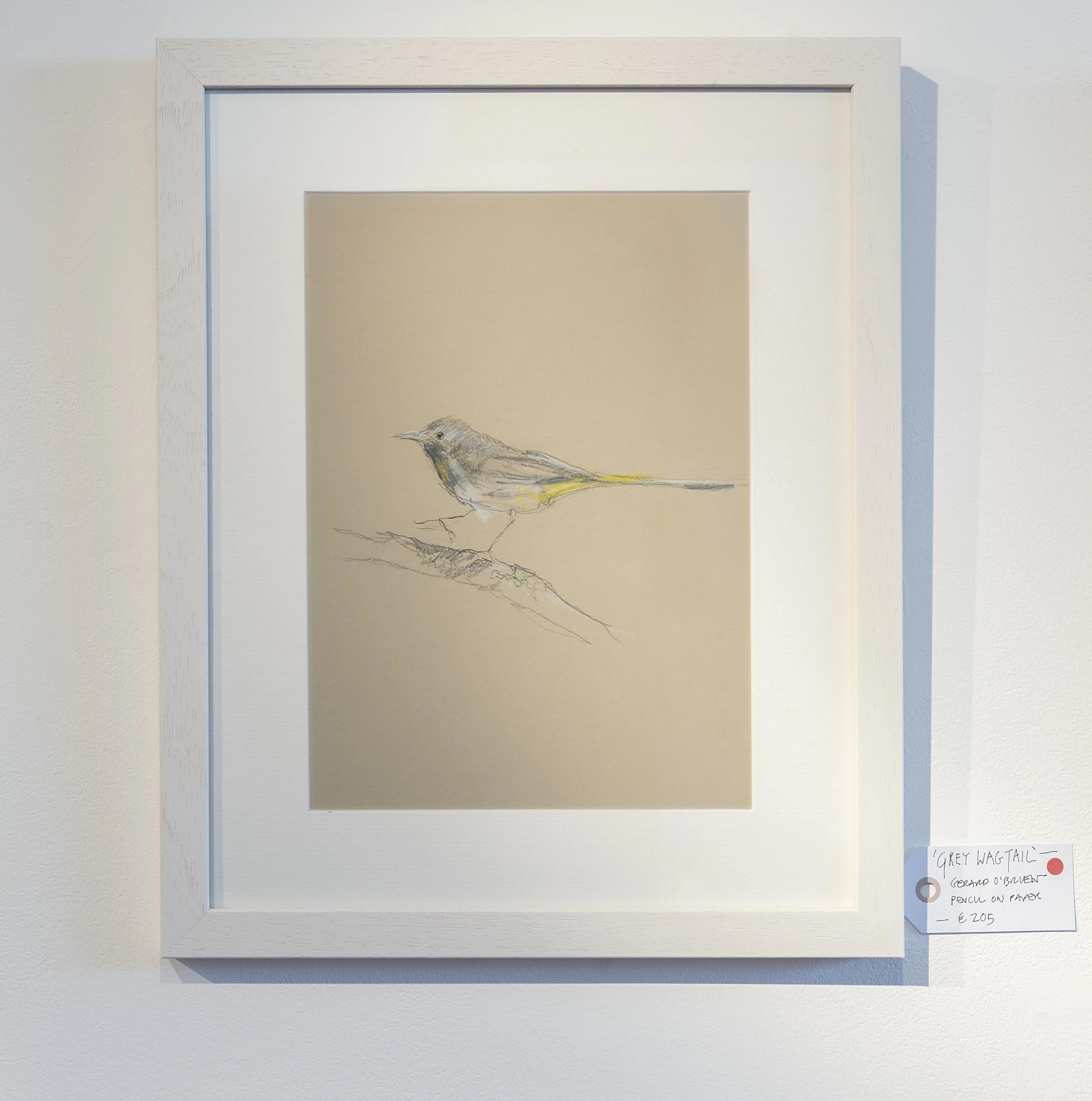 Grey wagtail drawing