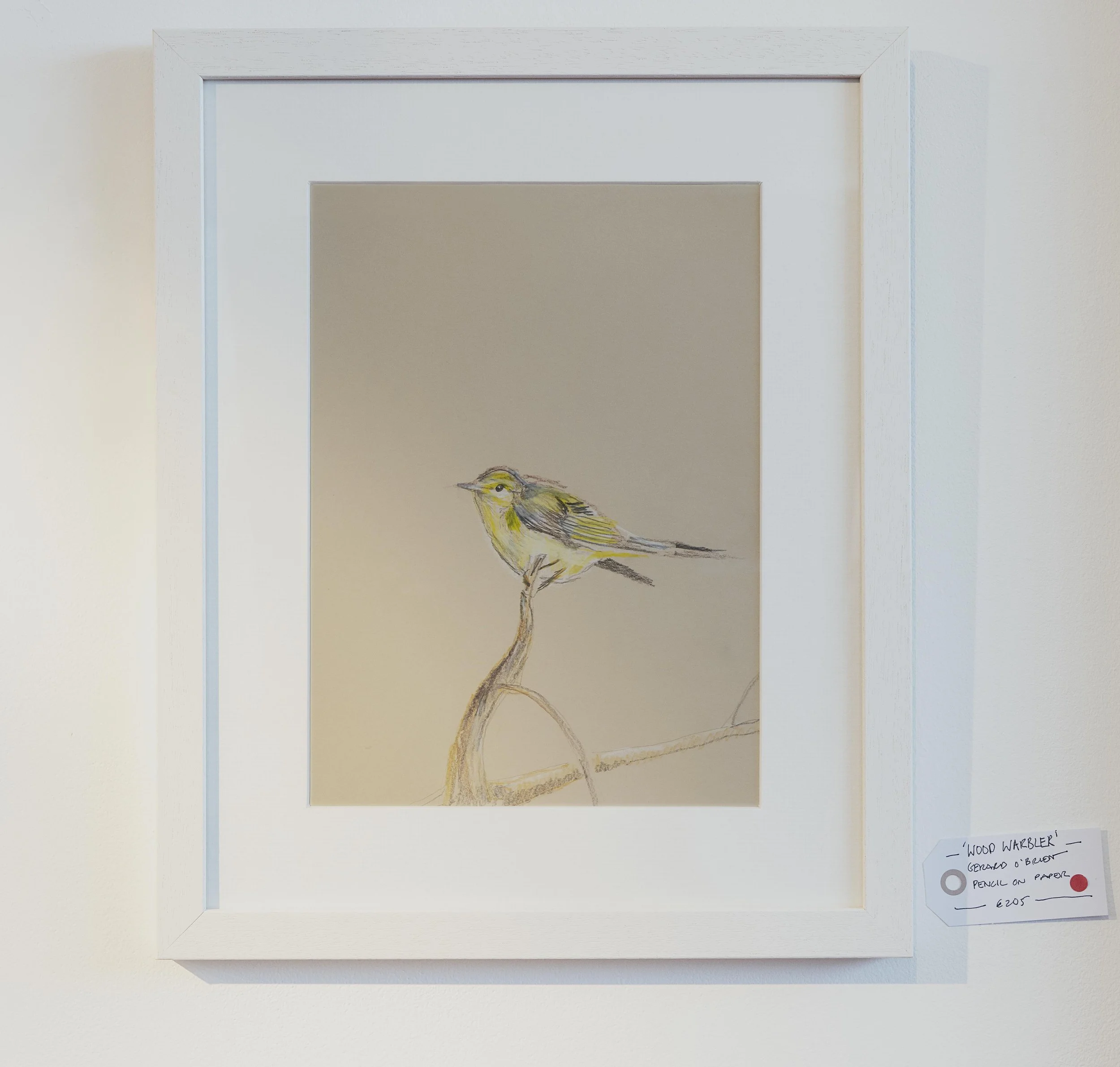 Wood warbler