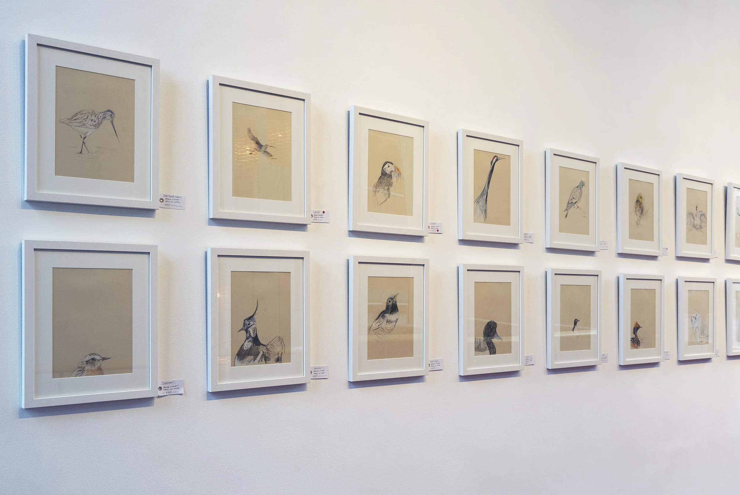 Conference of Birds Exhibiton II