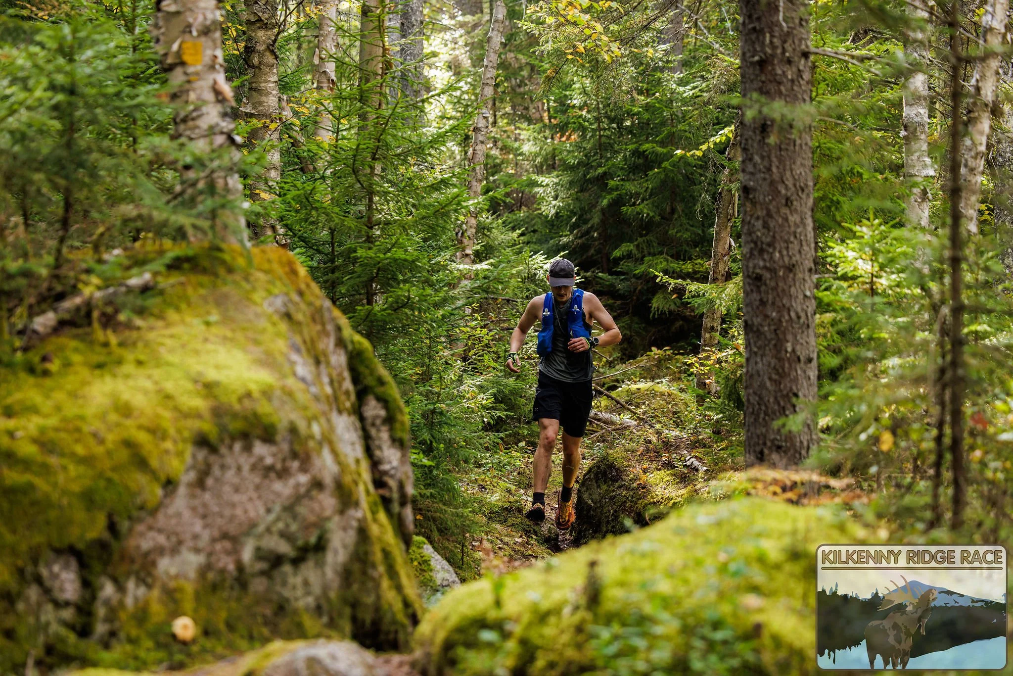 1-on-1 Run Coaching (Trail, Ultra, Mountain)