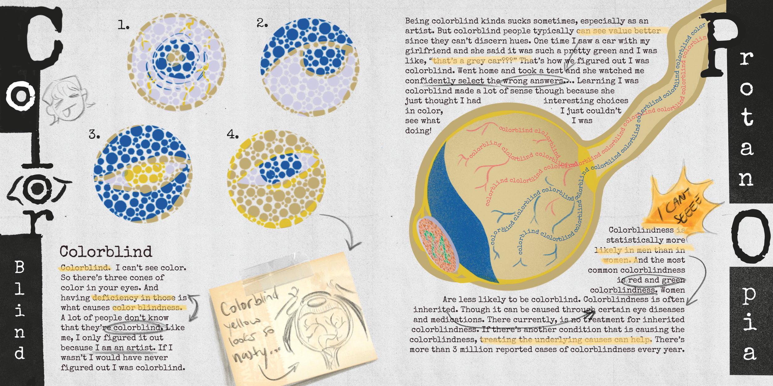 Booklet_-2.png