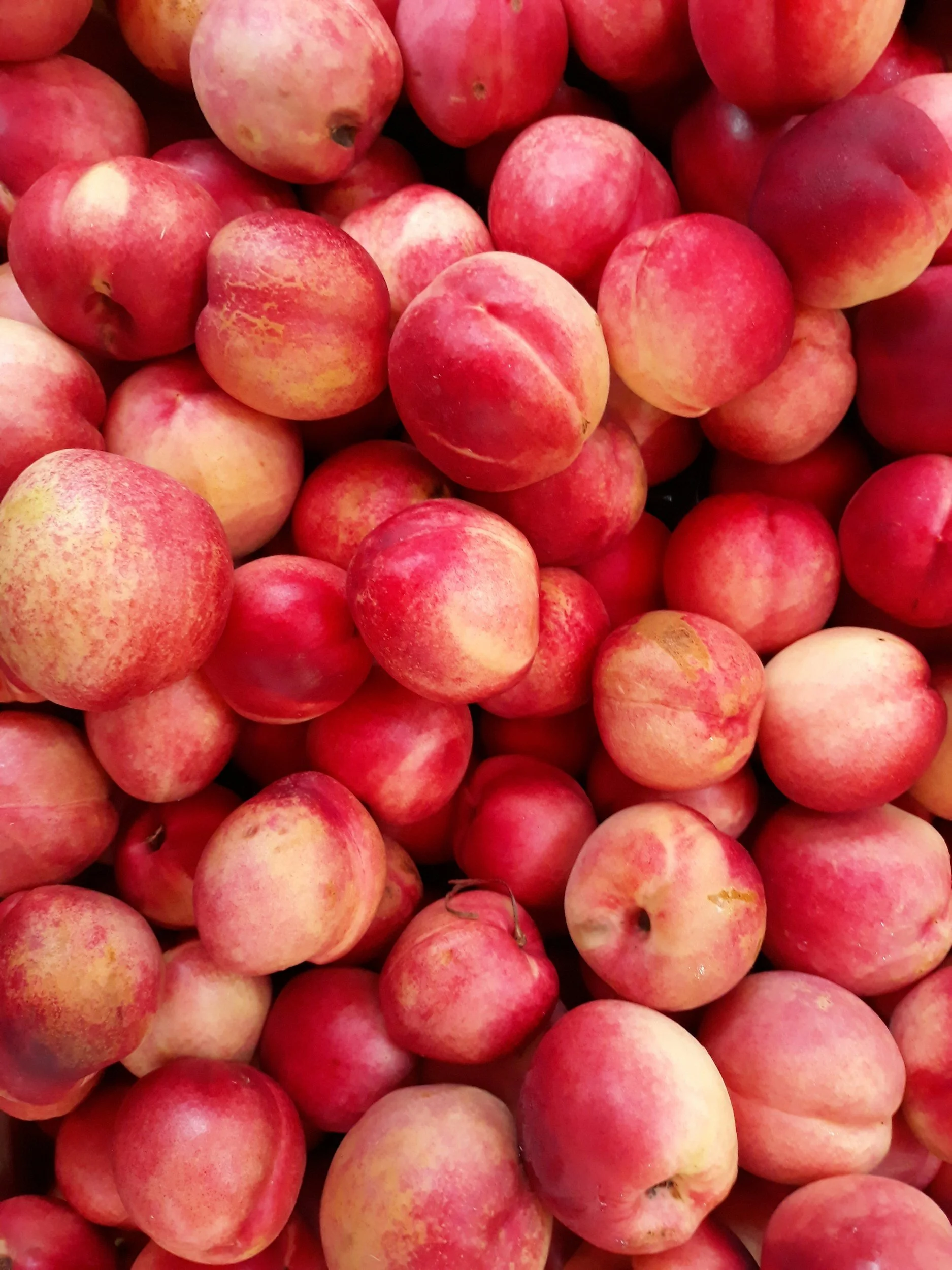 Image of dozens of peaches in beautiful red and yellow tones