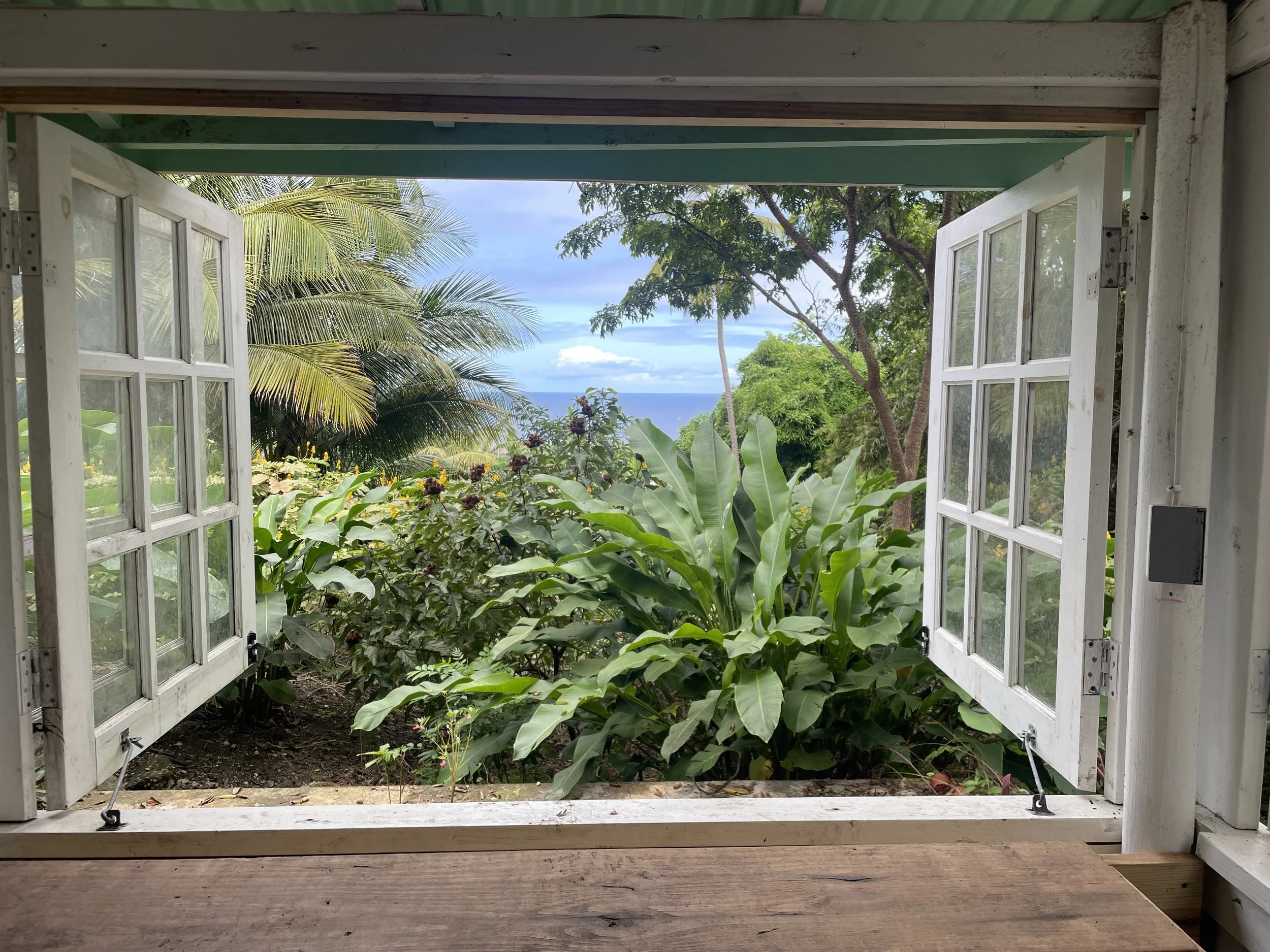 Serenity and abundance through a window in Barbados.