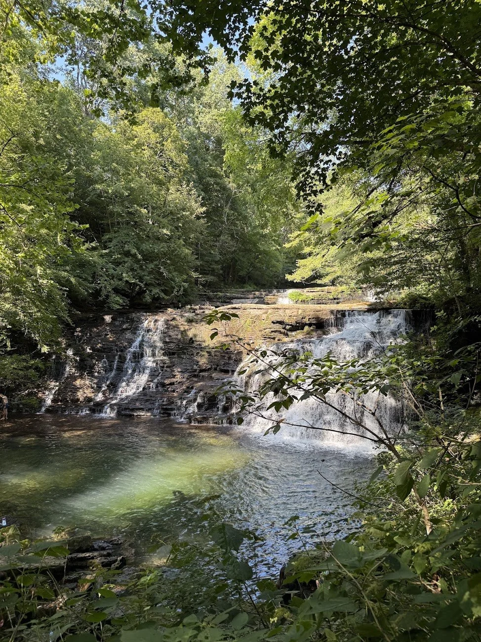 A serene waterfall cascading over rocks into a forested stream, surrounded by lush green trees and foliage.
