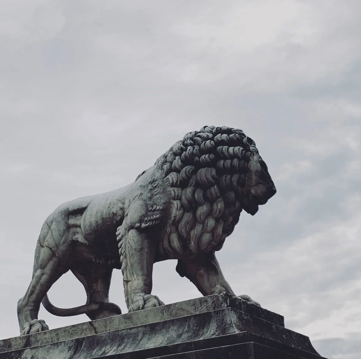 Lion, Concorde, Paris, Thanh Le Thai ©.