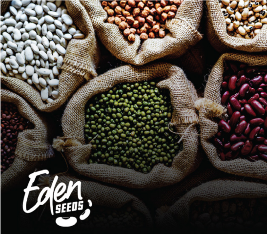 Embracing the failing forward mentality, with Emmanuel Luwemba